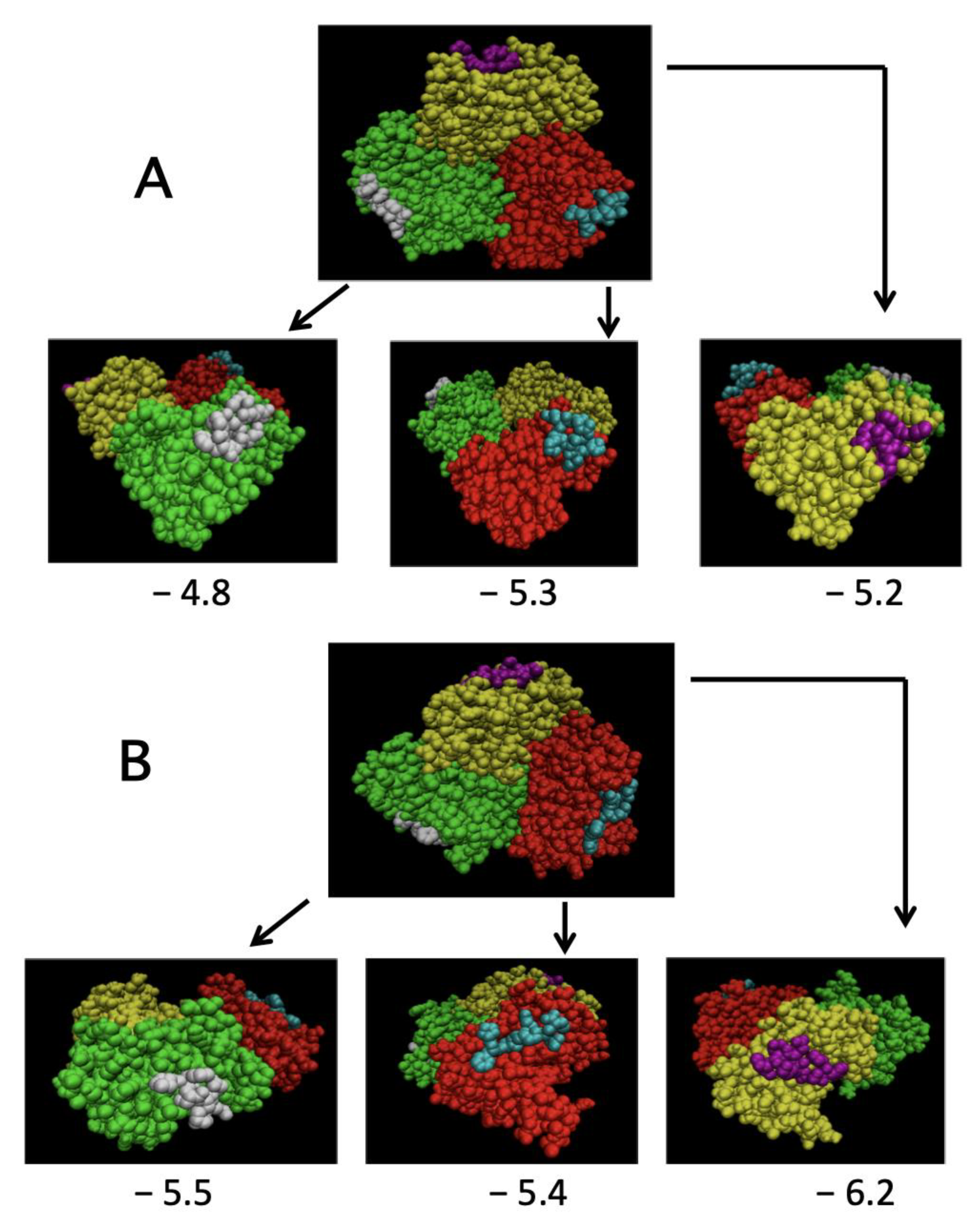 Ijms 22 05871 g009 Ijms 22 05871 g009