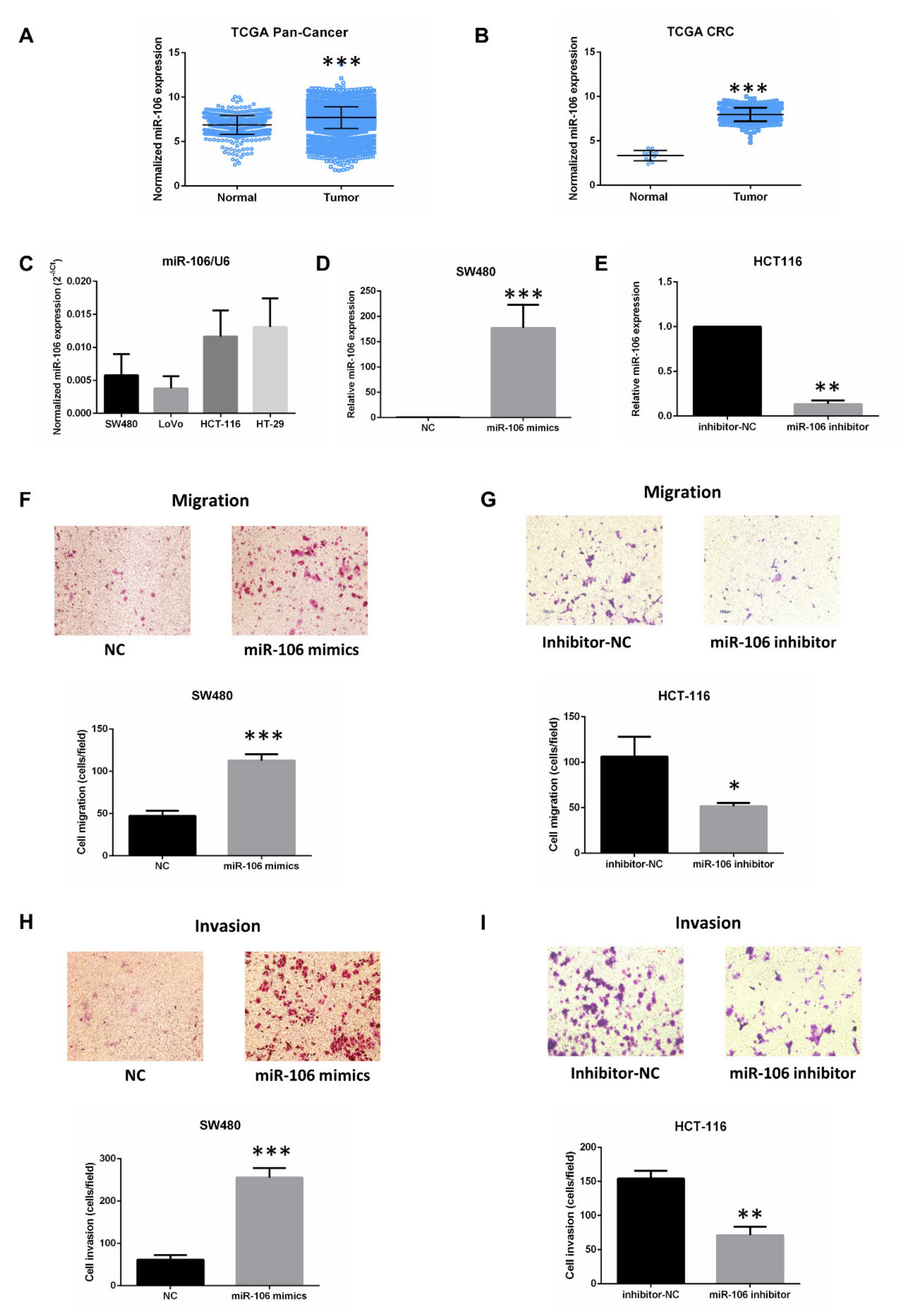 Ijms 22 05877 g001 Ijms 22 05877 g001