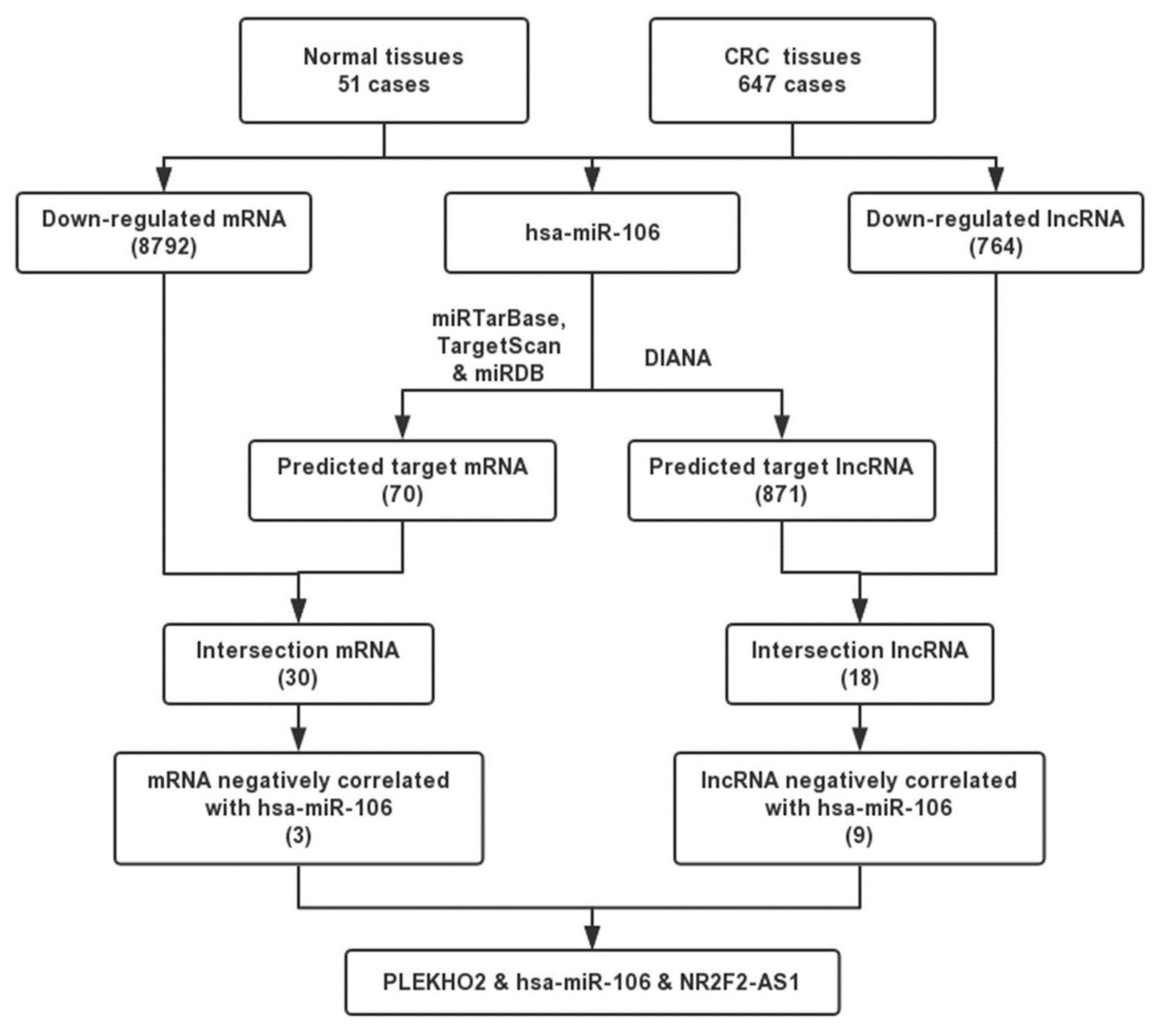 Ijms 22 05877 g003 Ijms 22 05877 g003