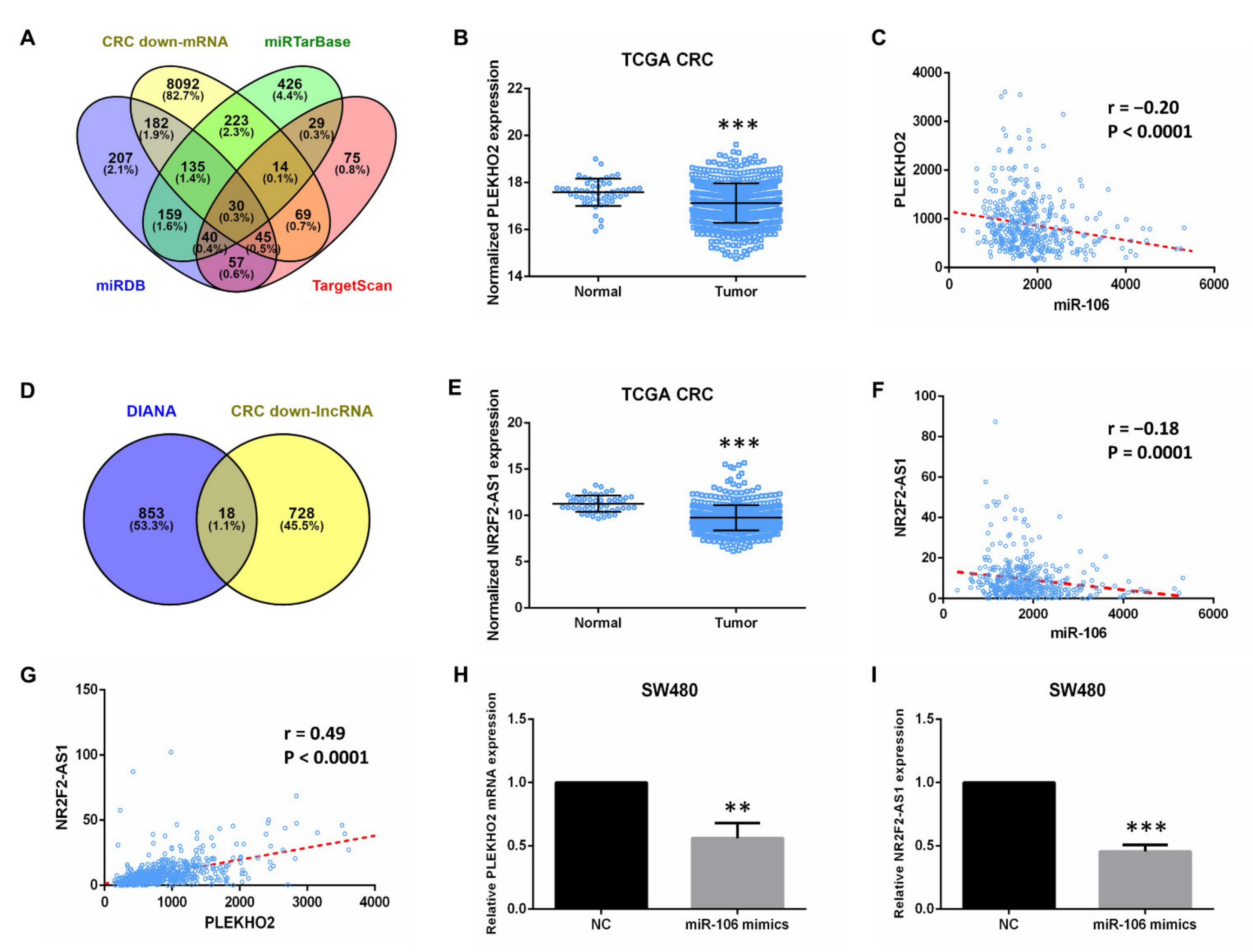 Ijms 22 05877 g004 Ijms 22 05877 g004
