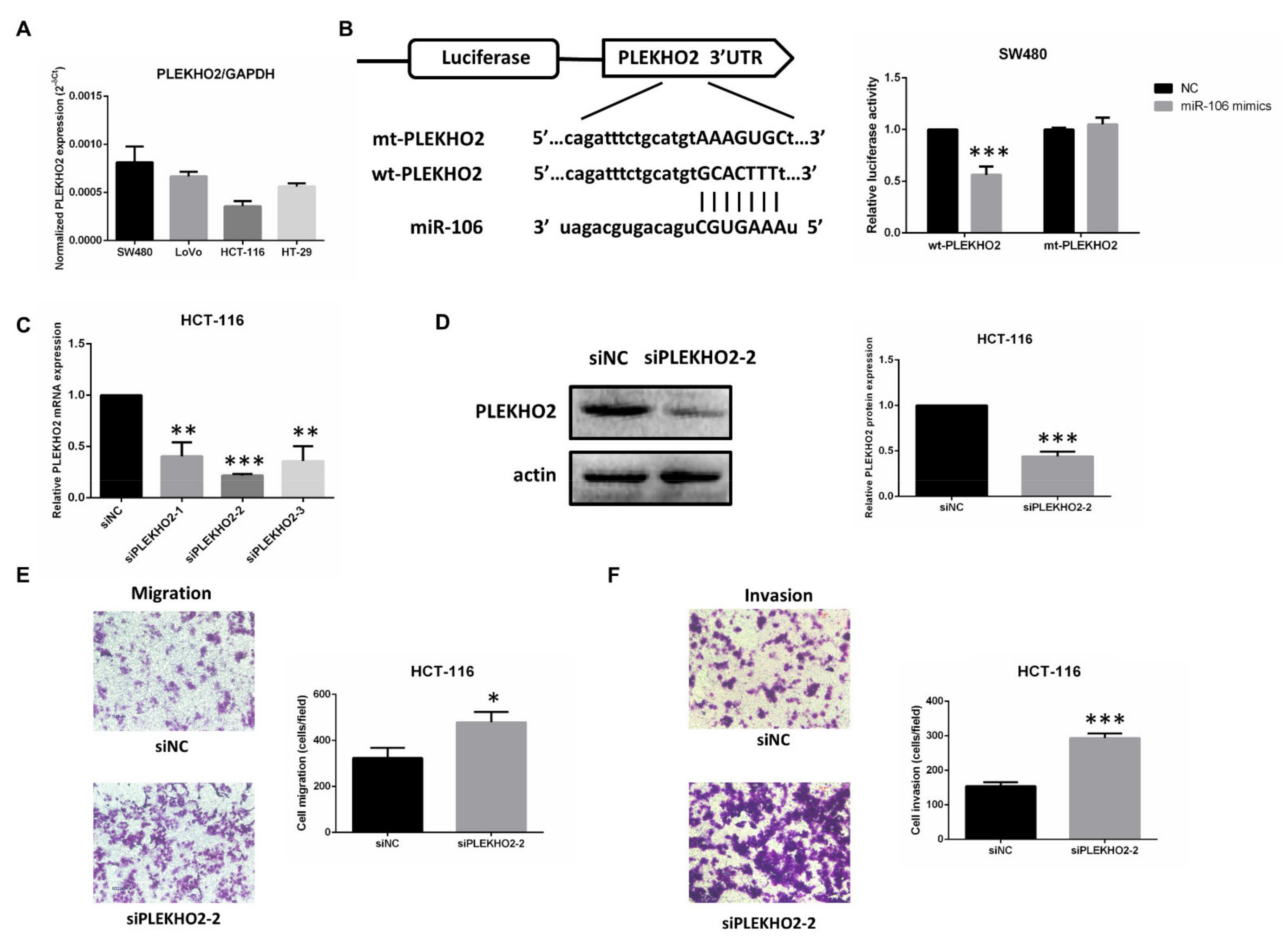 Ijms 22 05877 g005 Ijms 22 05877 g005