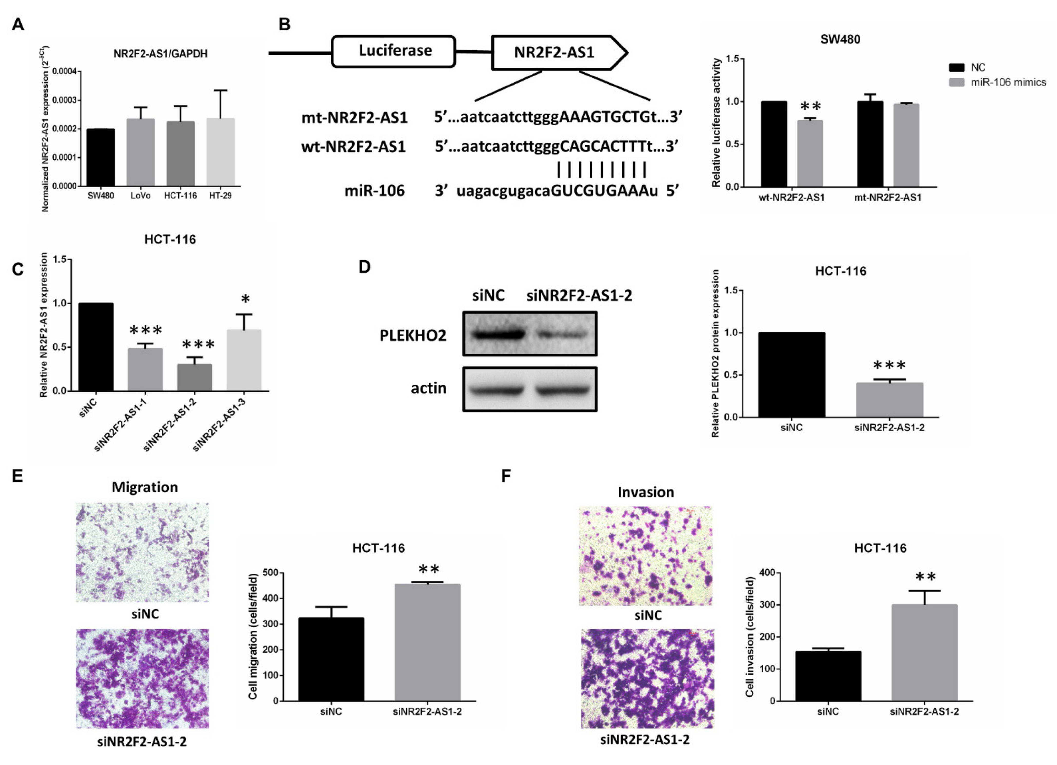 Ijms 22 05877 g006 Ijms 22 05877 g006