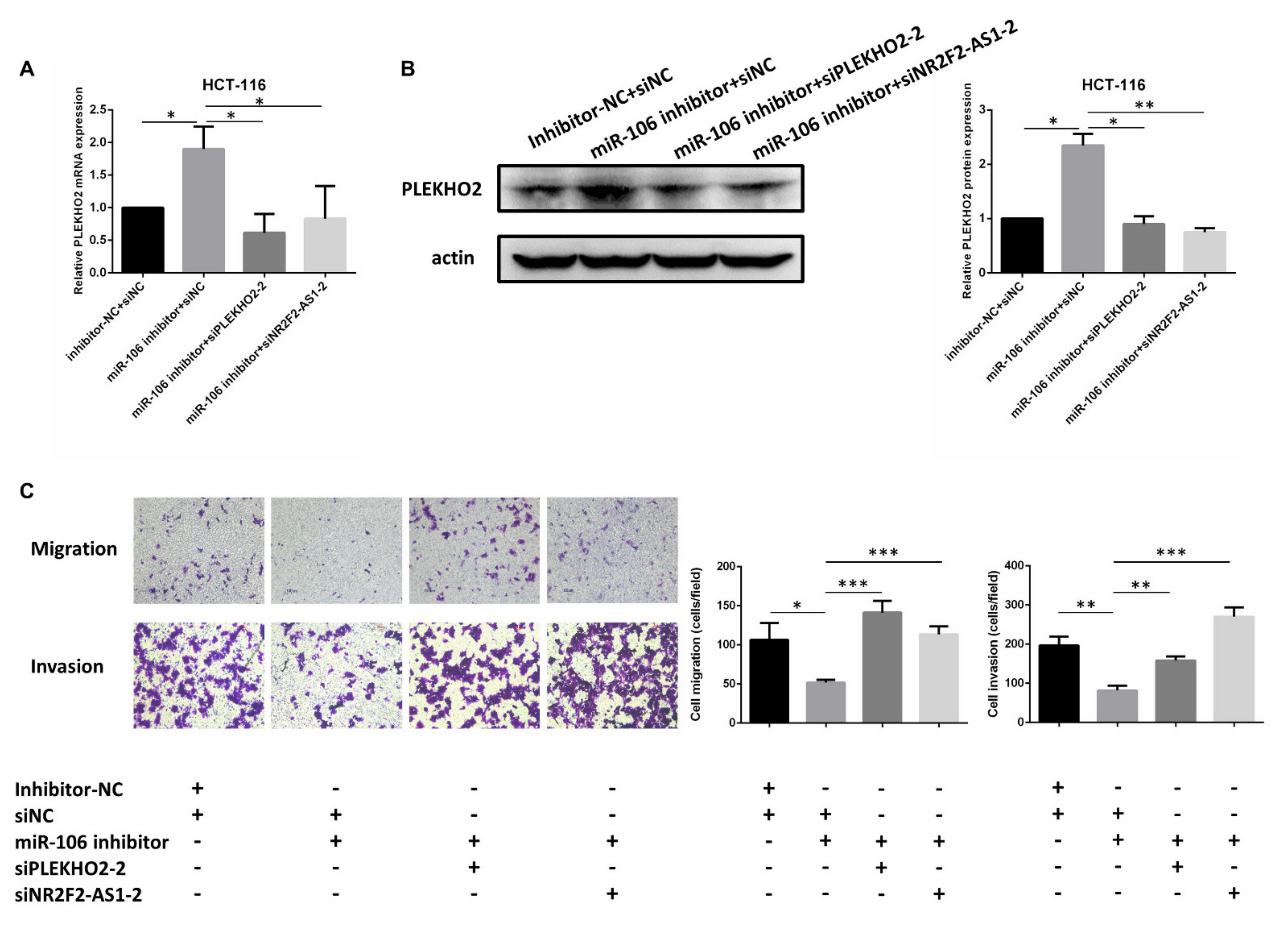 Ijms 22 05877 g007 Ijms 22 05877 g007