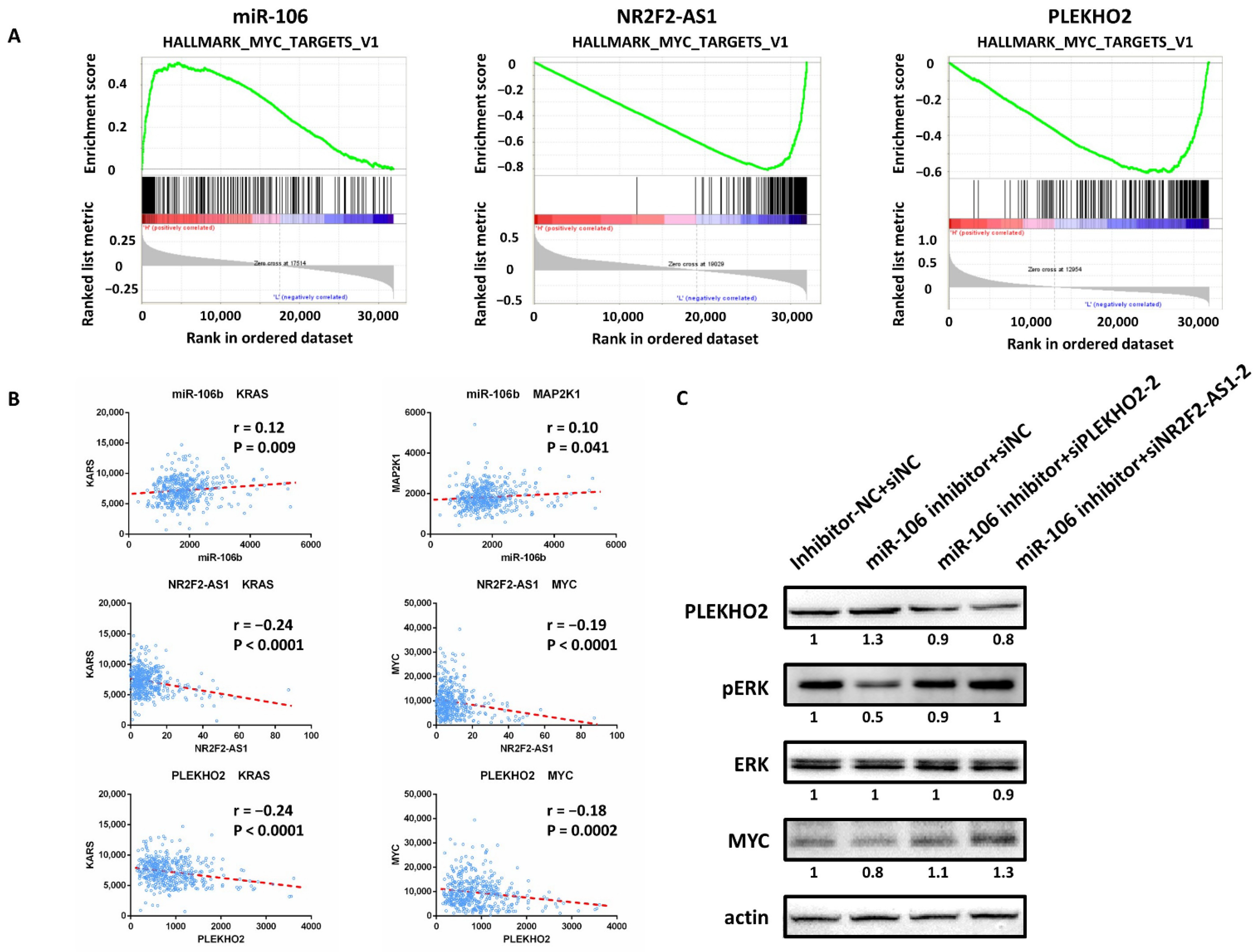 Ijms 22 05877 g008 Ijms 22 05877 g008