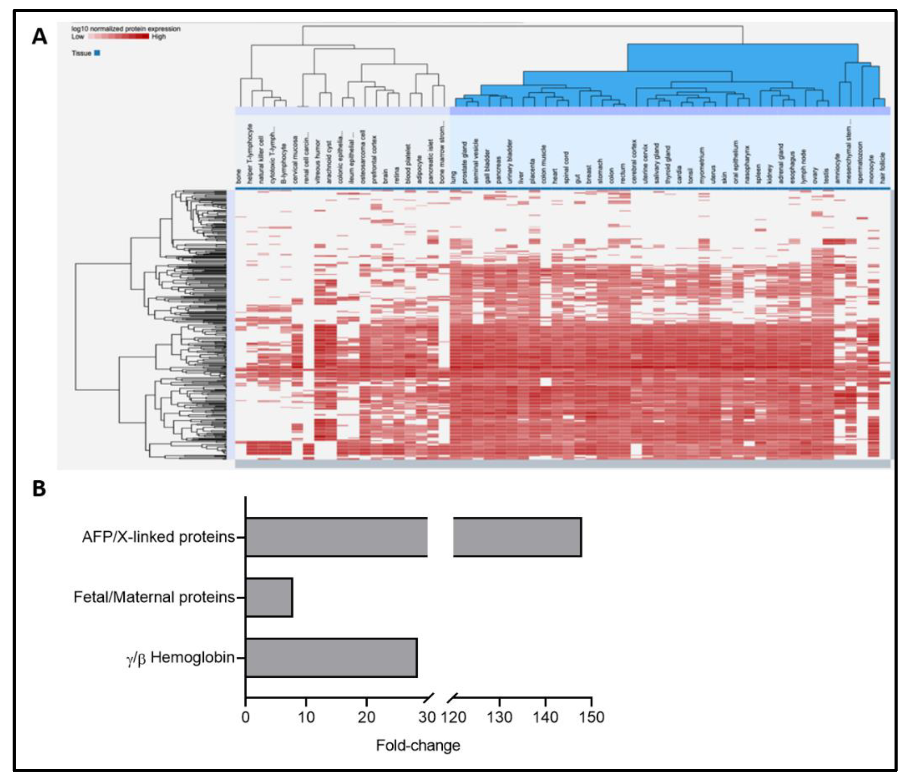 Ijms 22 05886 g001 Ijms 22 05886 g001