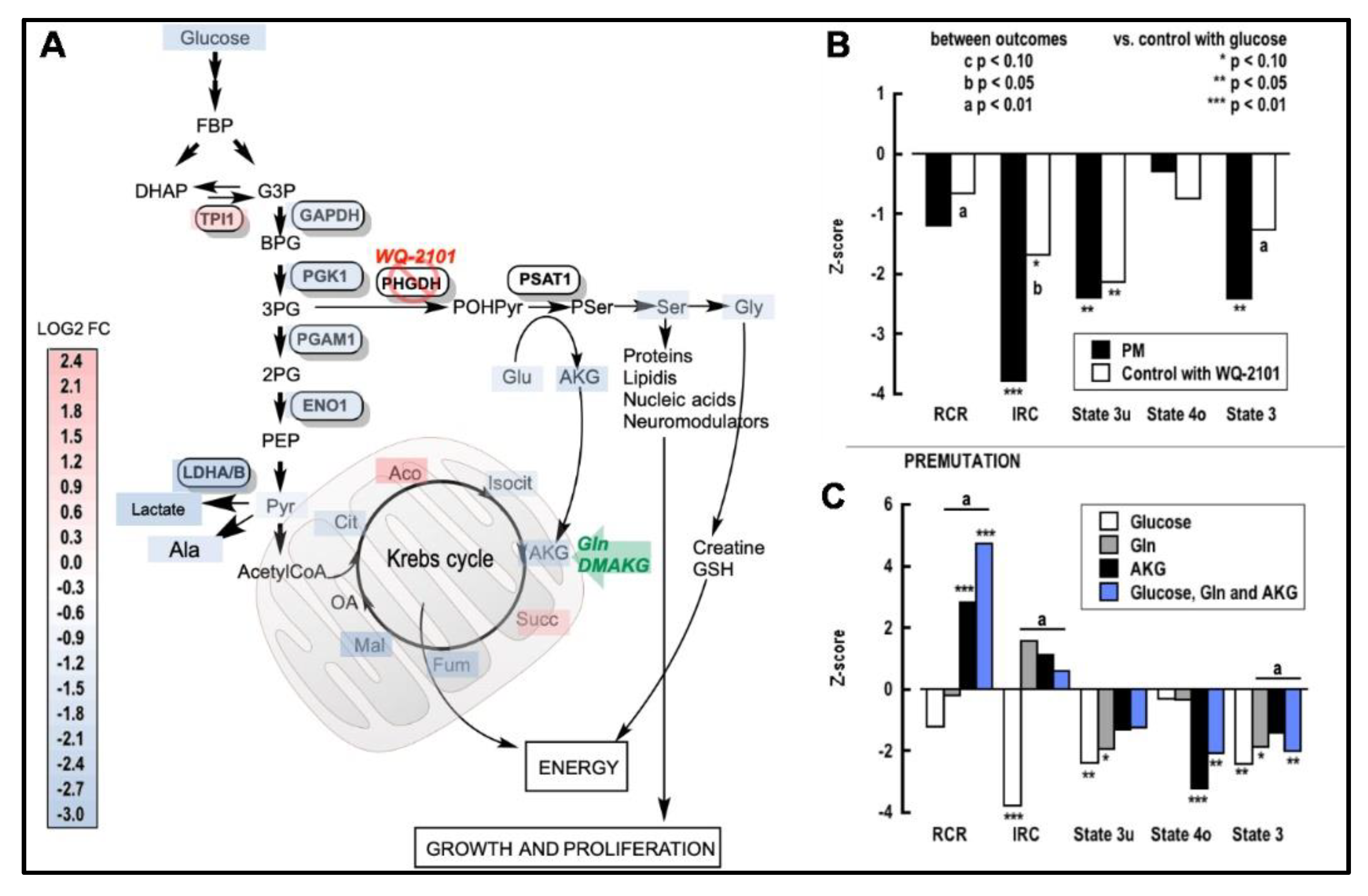 Ijms 22 05886 g004 Ijms 22 05886 g004