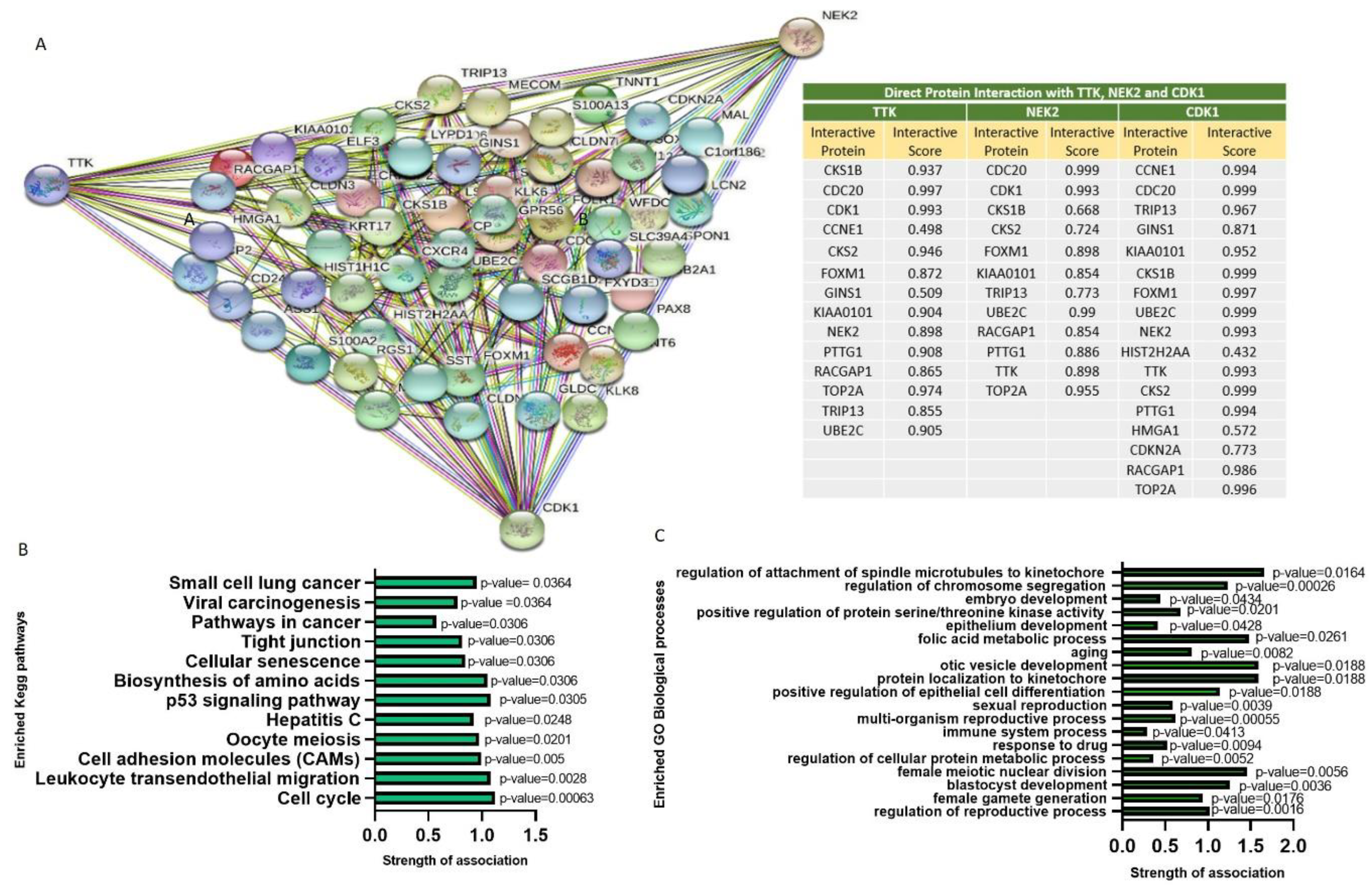 Ijms 22 05895 g002 Ijms 22 05895 g002