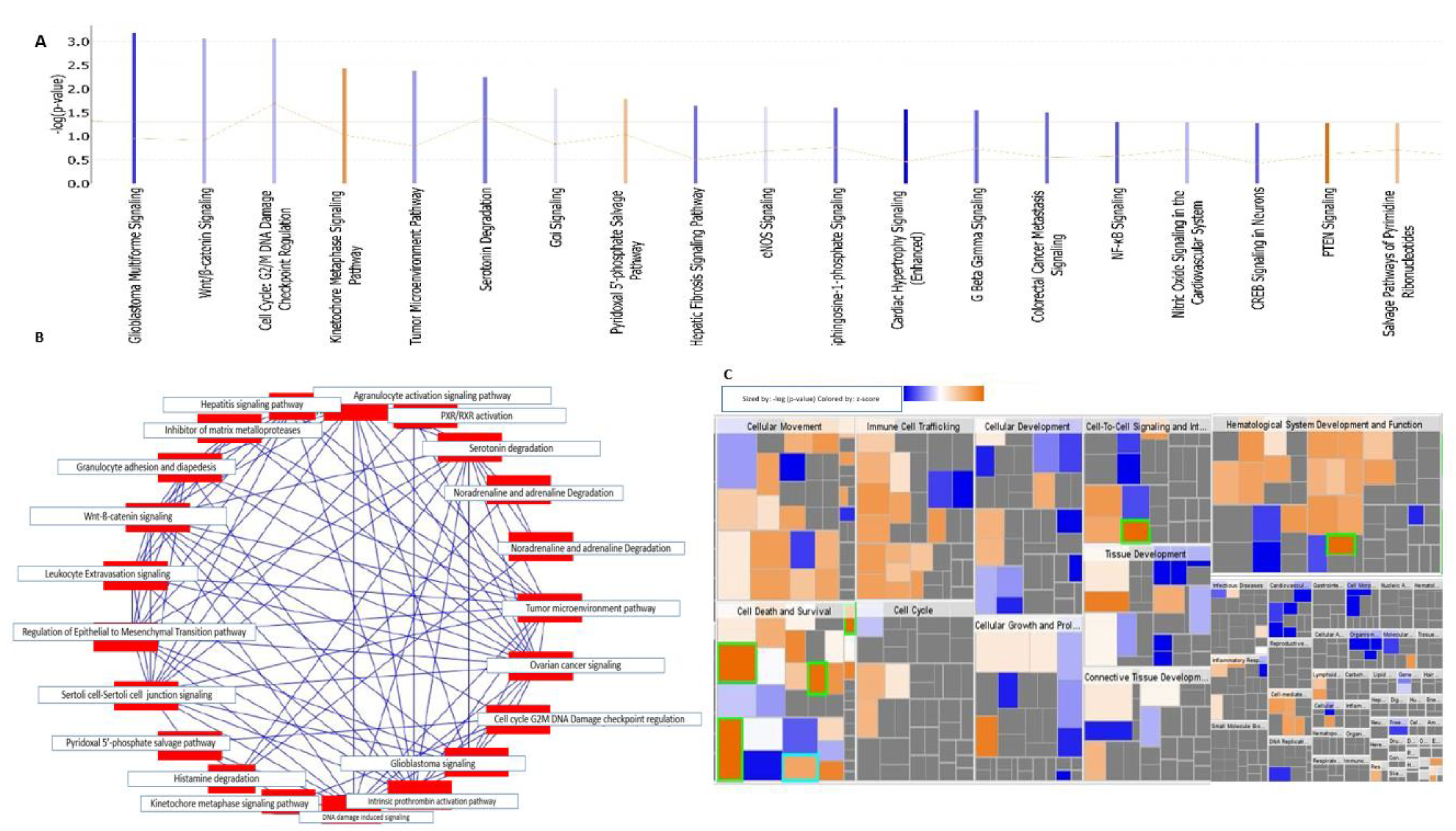 Ijms 22 05895 g003 Ijms 22 05895 g003