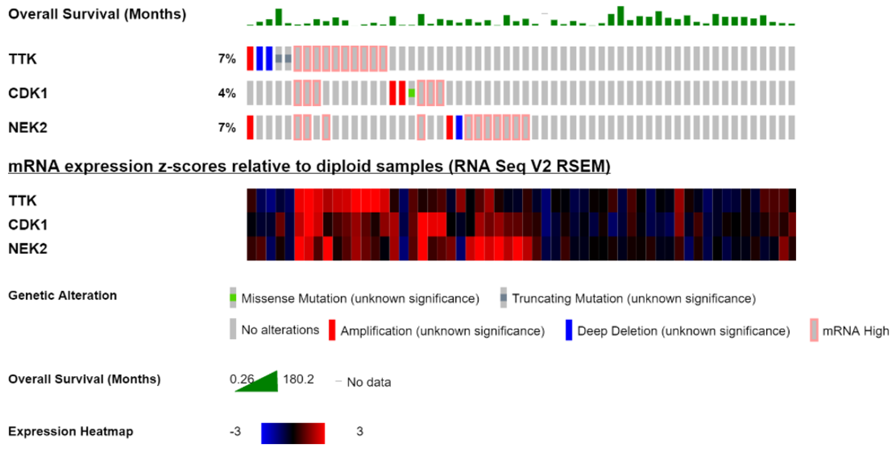 Ijms 22 05895 g004 Ijms 22 05895 g004