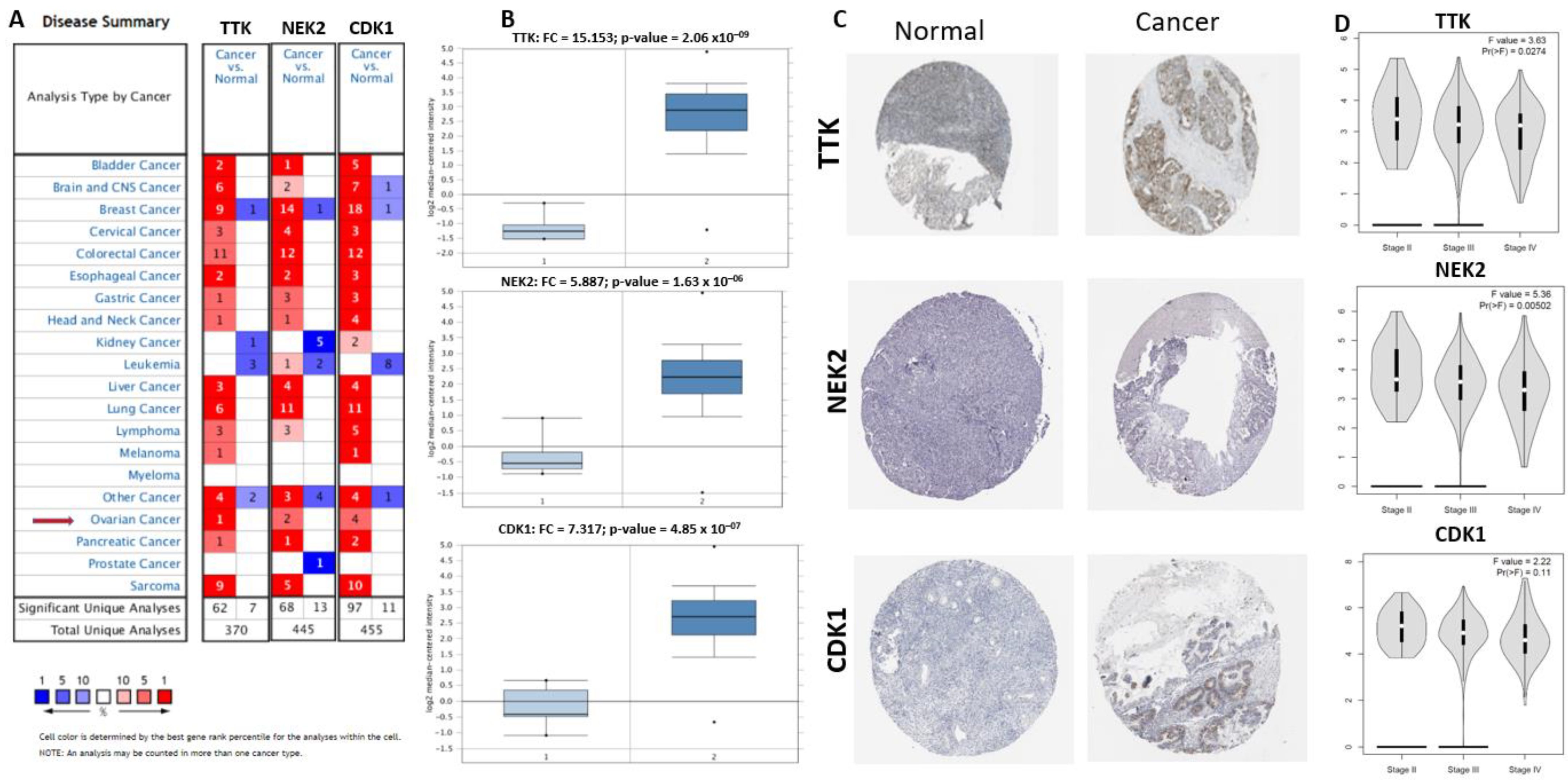 Ijms 22 05895 g005 Ijms 22 05895 g005