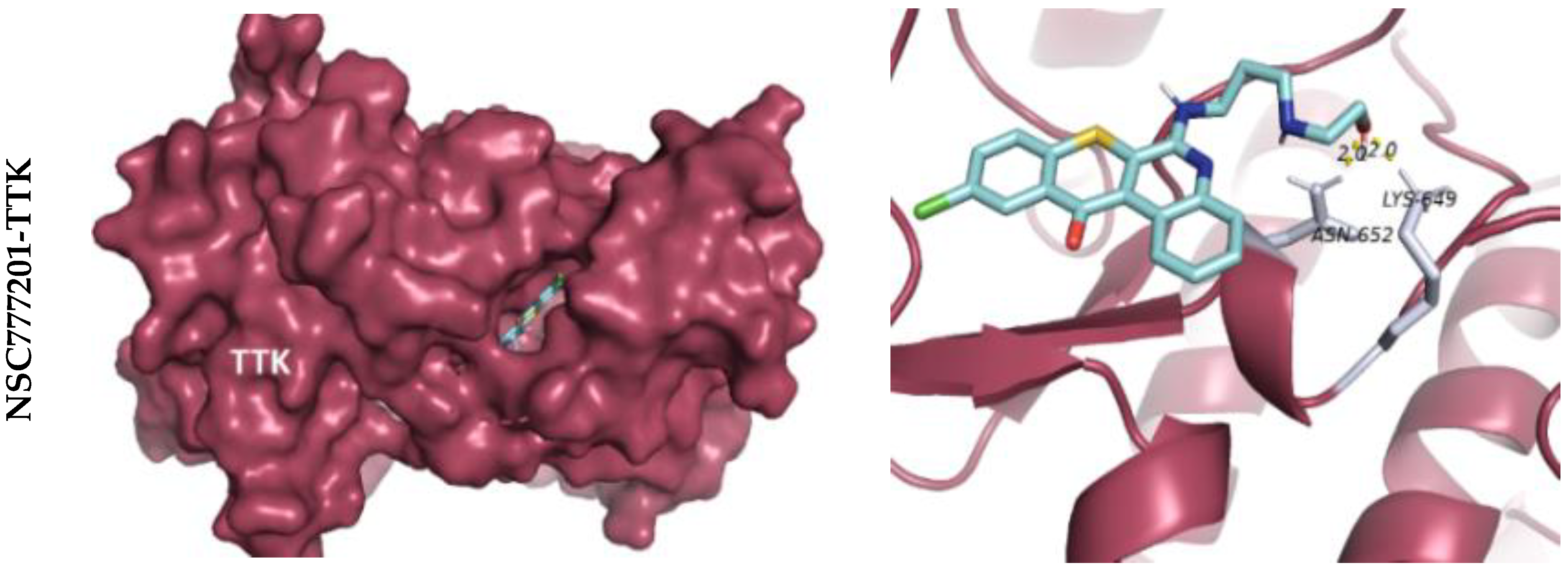 Ijms 22 05895 g007a Ijms 22 05895 g007a