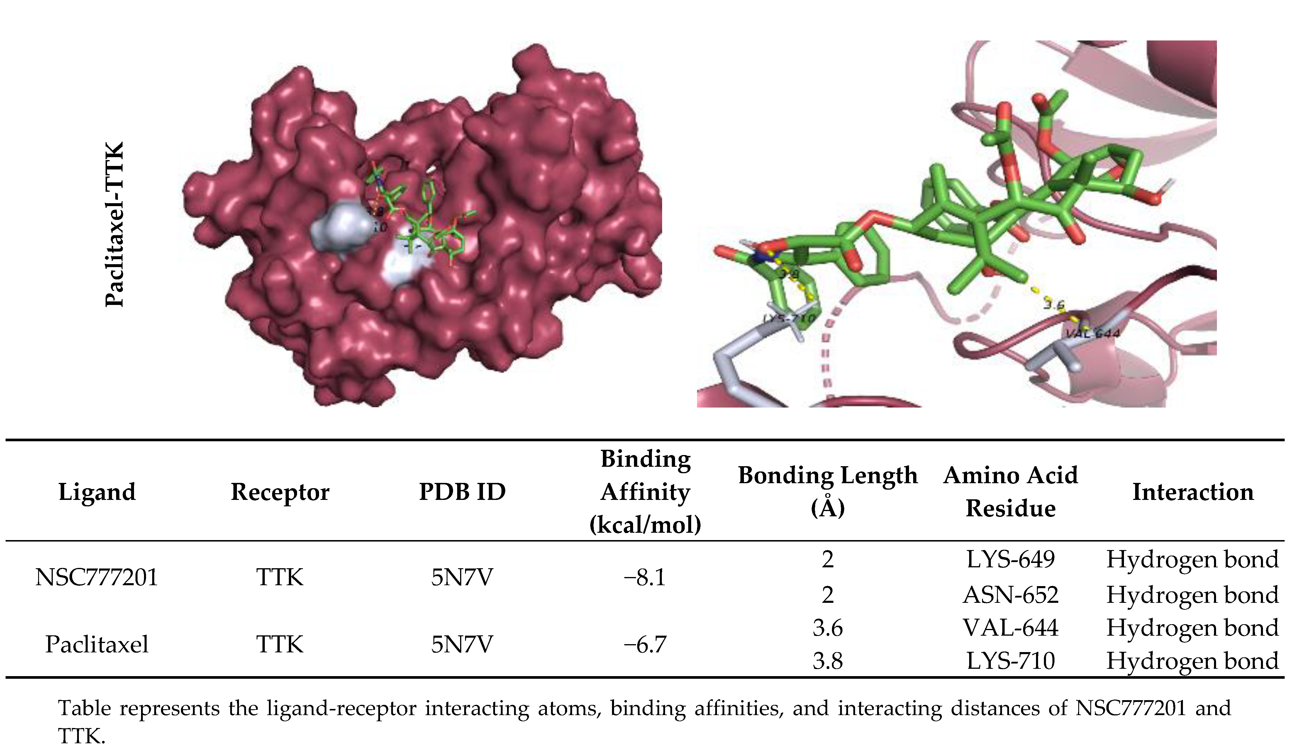 Ijms 22 05895 g007b Ijms 22 05895 g007b