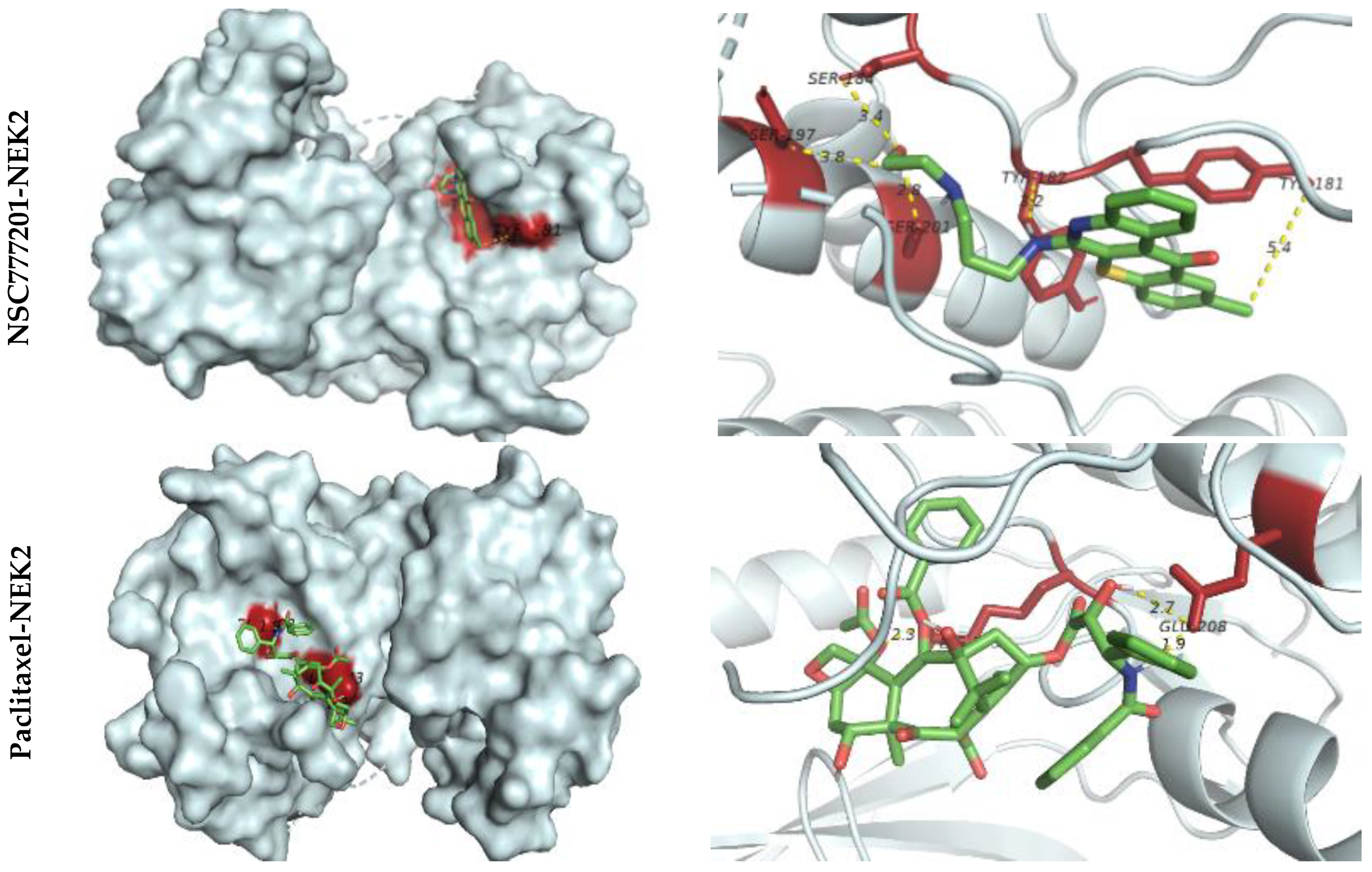 Ijms 22 05895 g008a Ijms 22 05895 g008a
