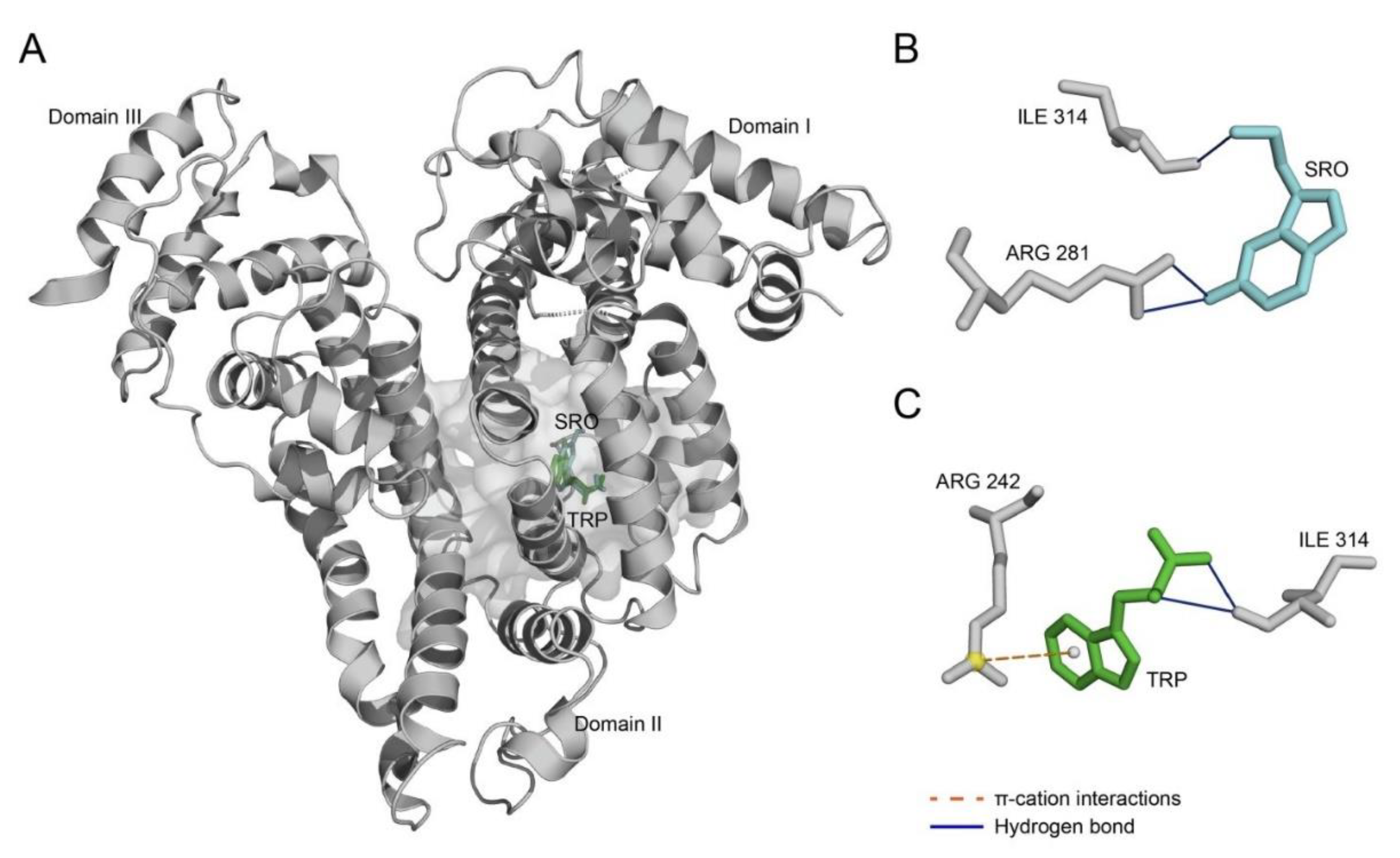 Ijms 22 05896 g005 Ijms 22 05896 g005
