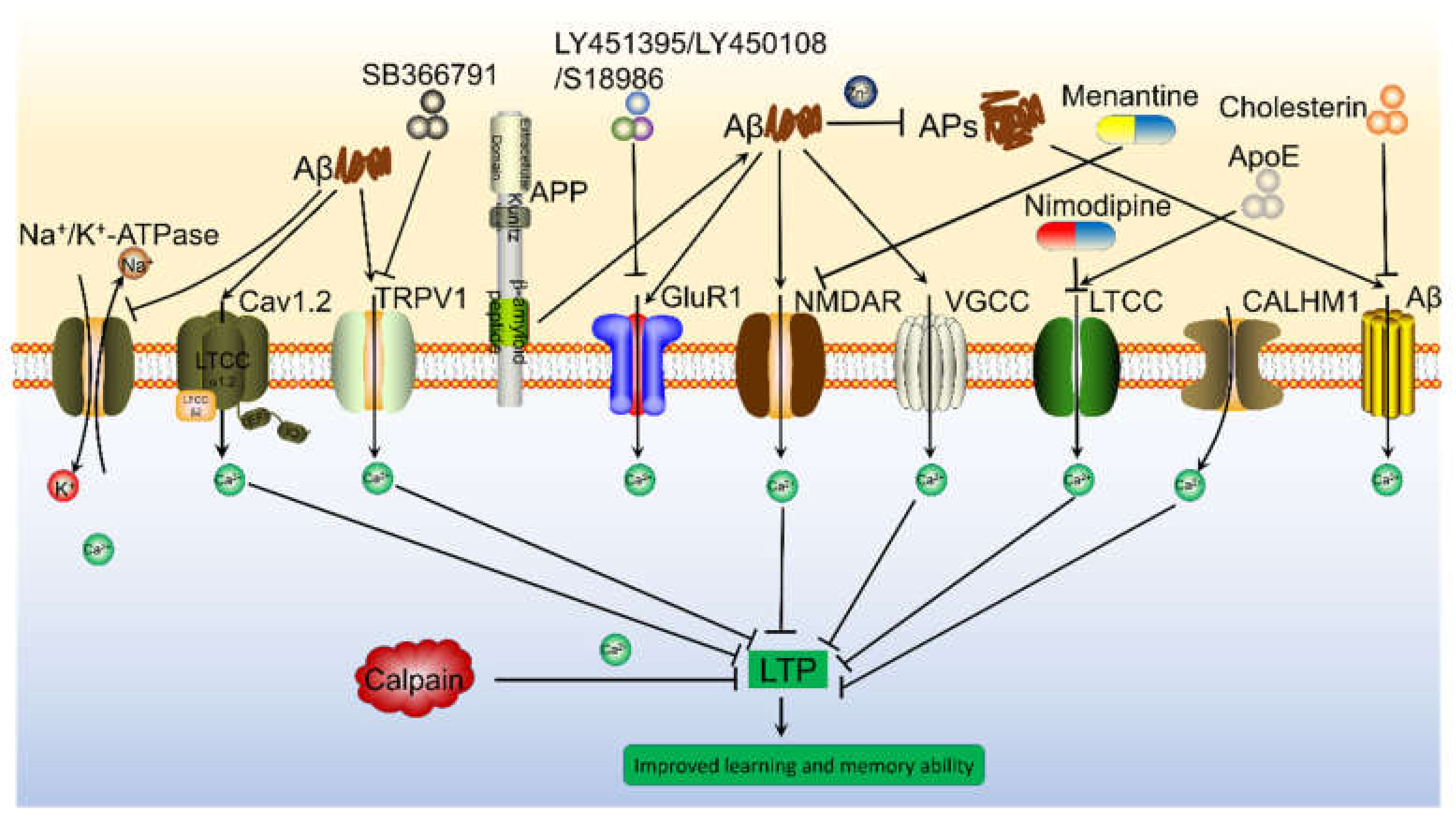 Ijms 22 05900 g001 Ijms 22 05900 g001
