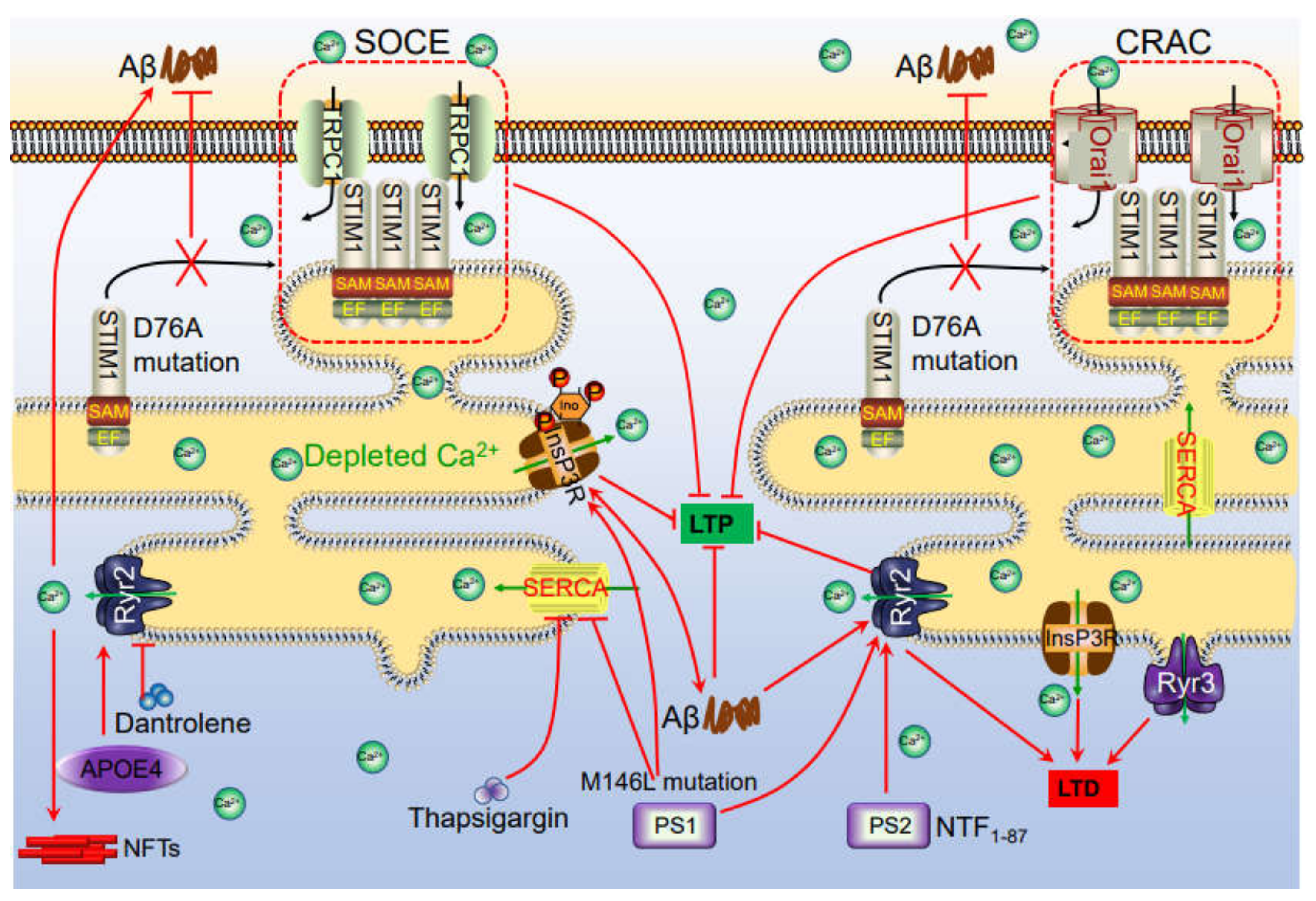 Ijms 22 05900 g002 Ijms 22 05900 g002