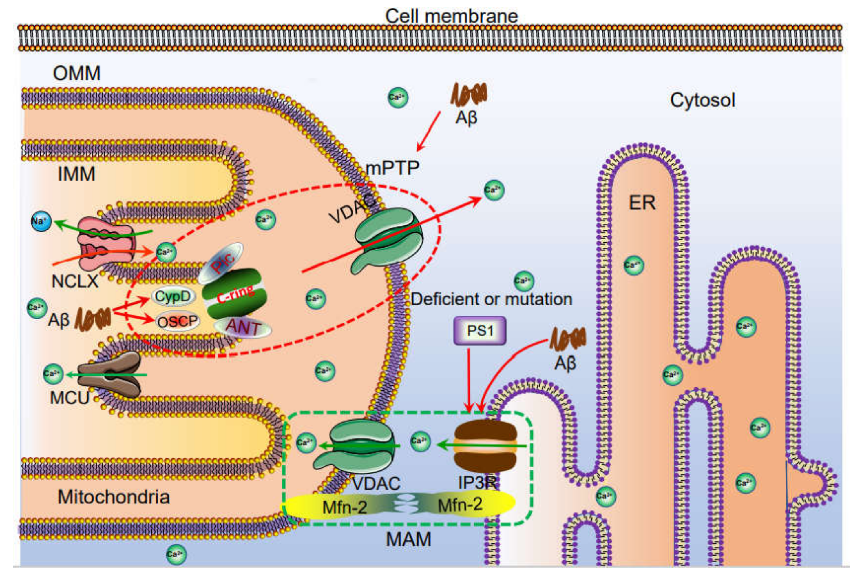 Ijms 22 05900 g003 Ijms 22 05900 g003
