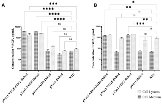 Proangiogenic Effect of 2A-Peptide Based Multicistronic Recombinant ...