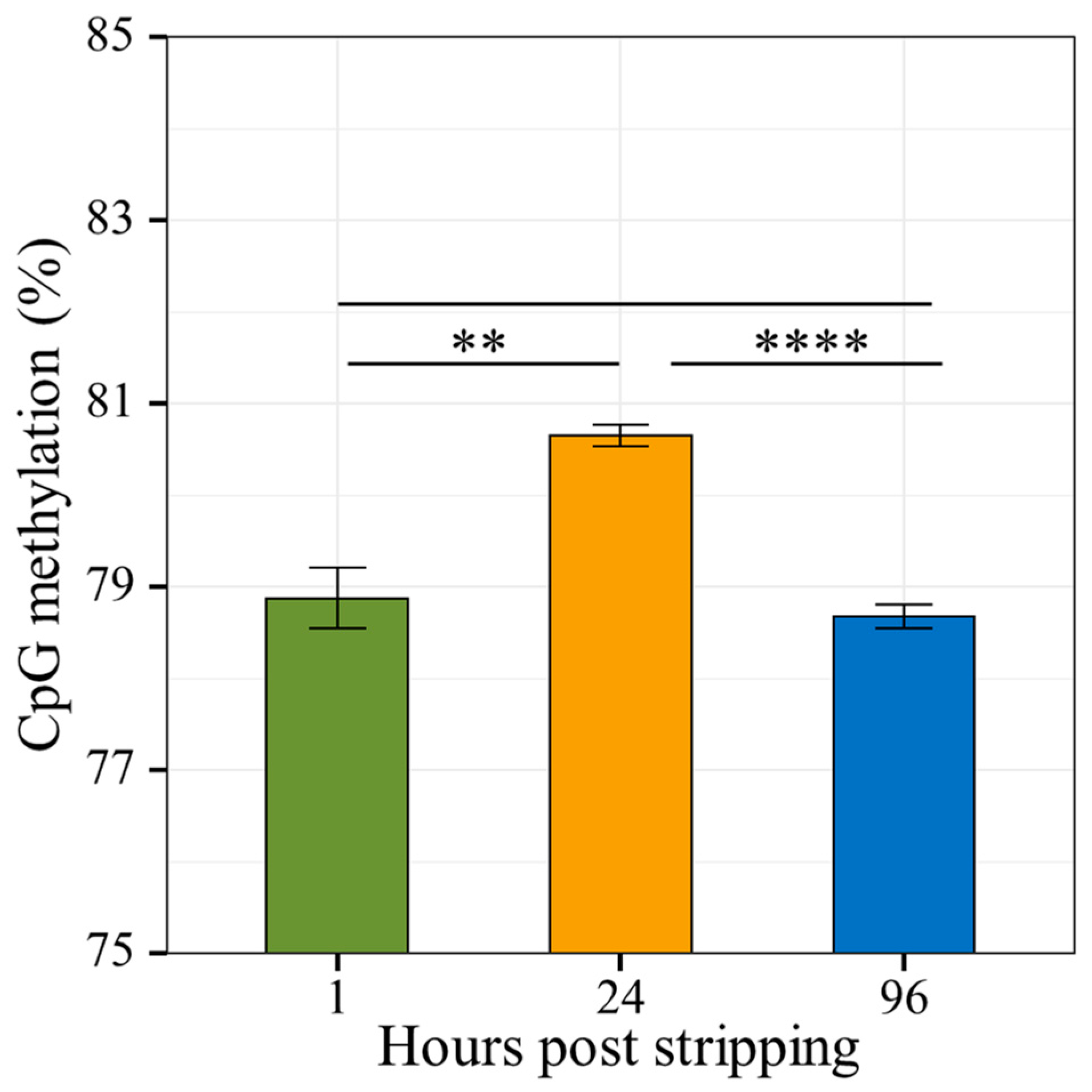 Ijms 22 05925 g004 Ijms 22 05925 g004