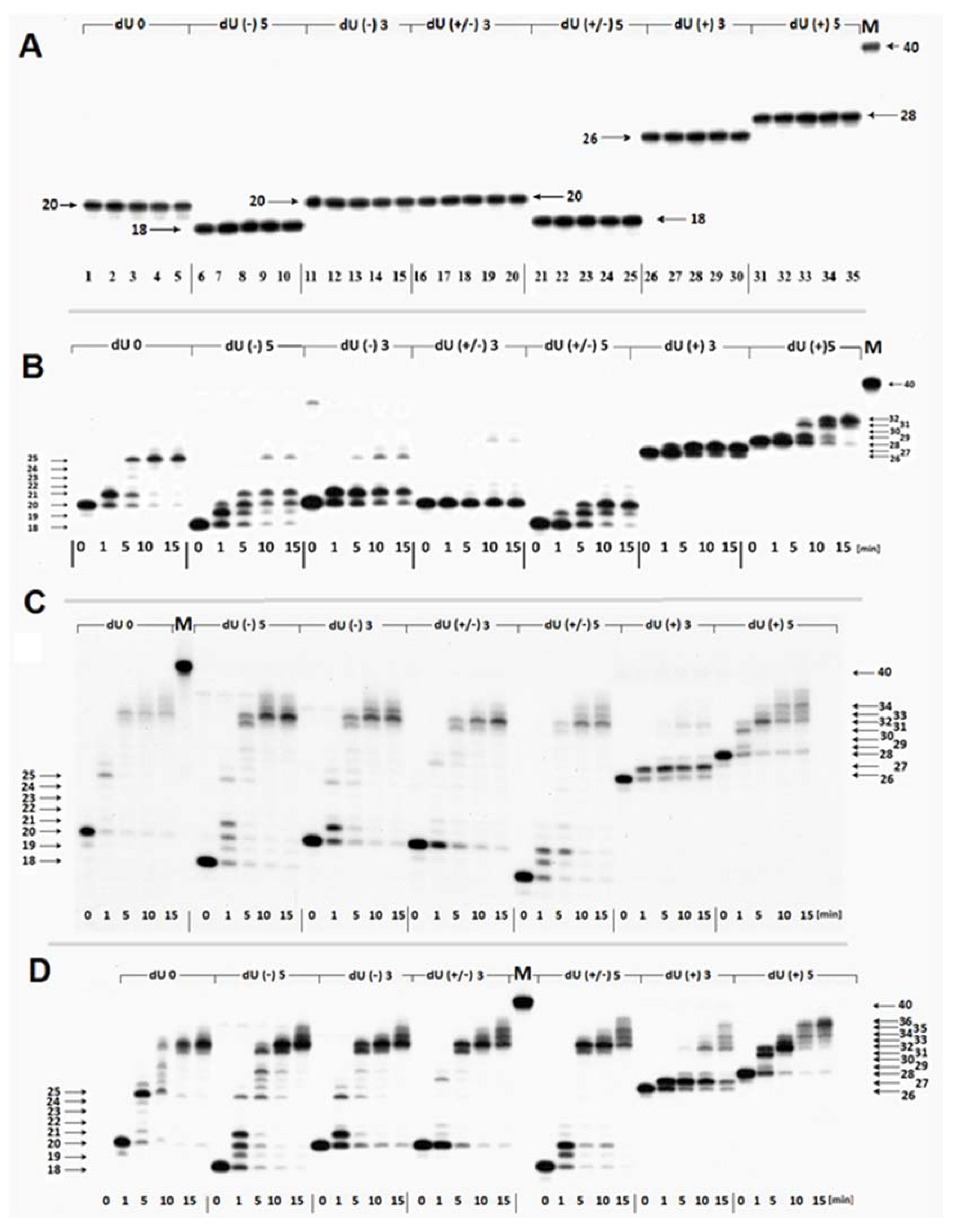 Ijms 22 05934 g003 Ijms 22 05934 g003