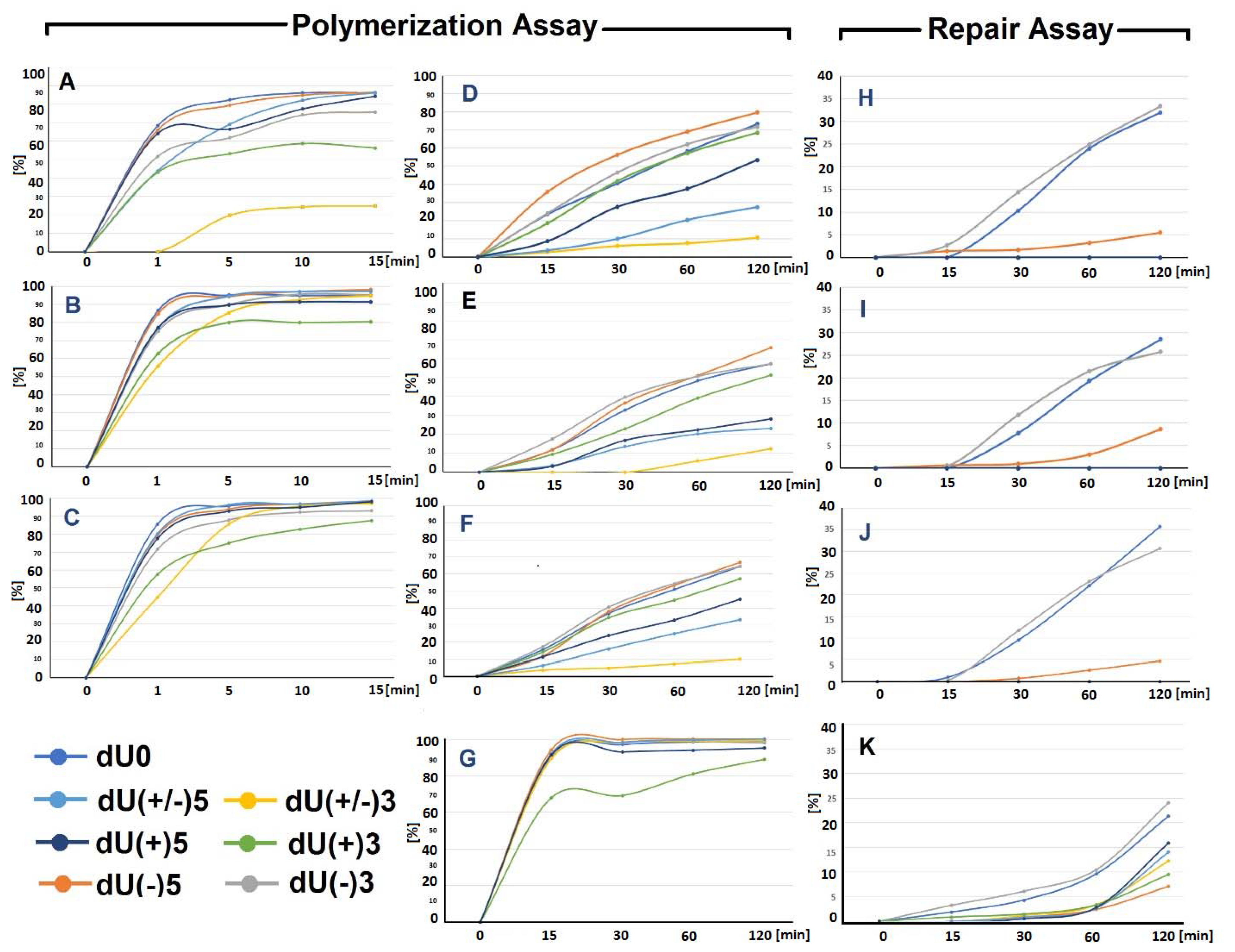 Ijms 22 05934 g004 Ijms 22 05934 g004