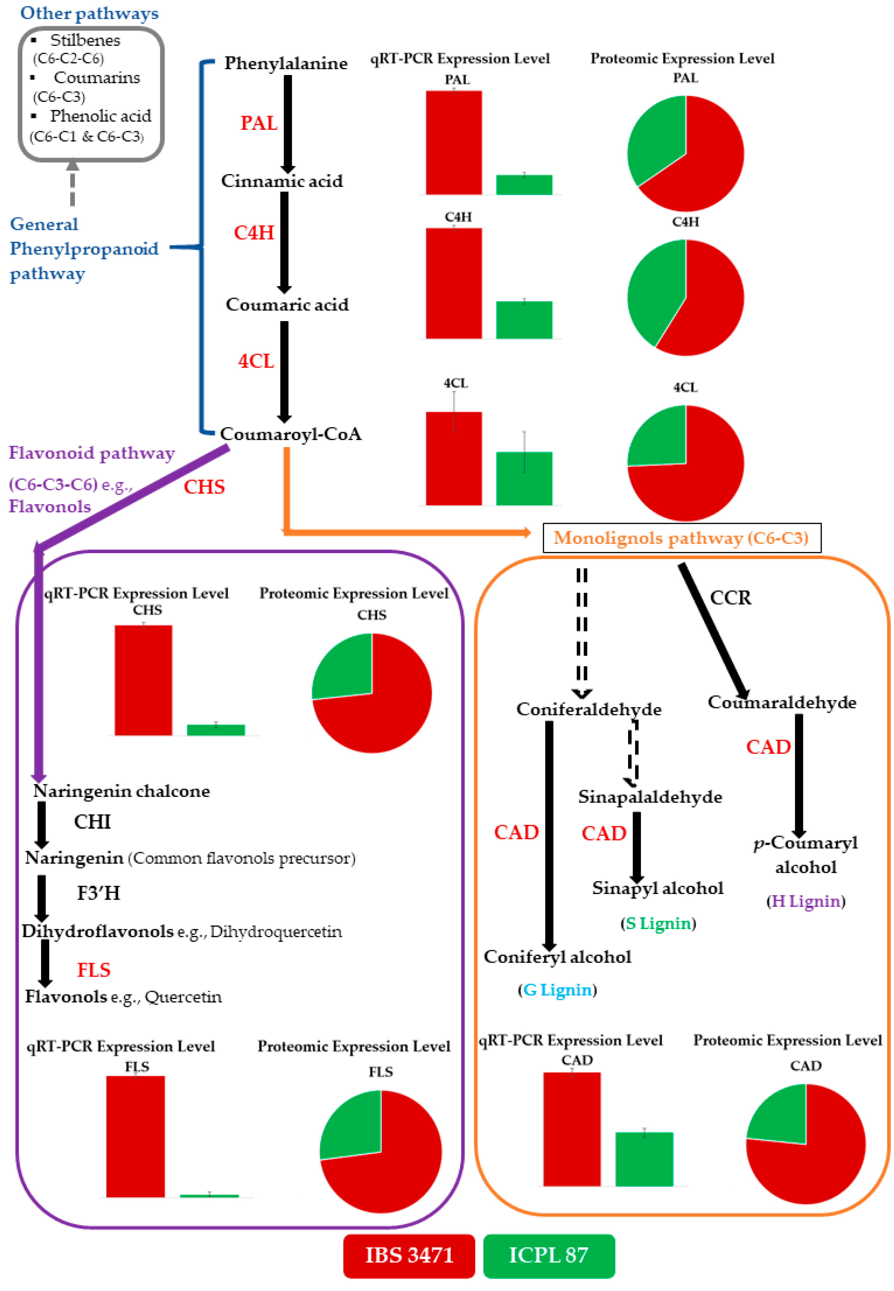 Ijms 22 05941 g007 Ijms 22 05941 g007