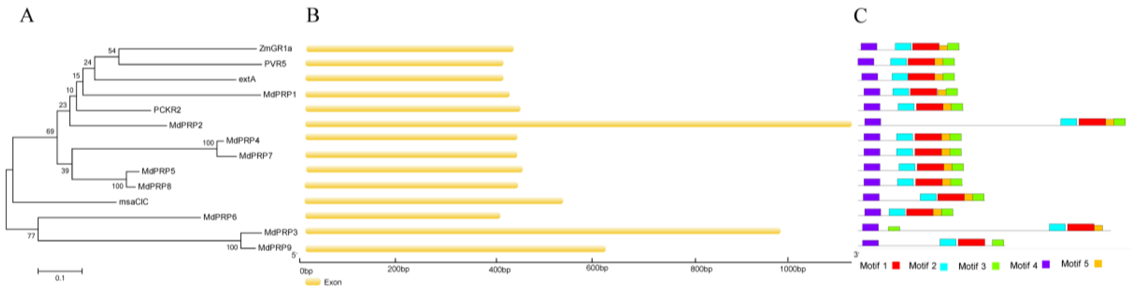 Ijms 22 05942 g003 Ijms 22 05942 g003