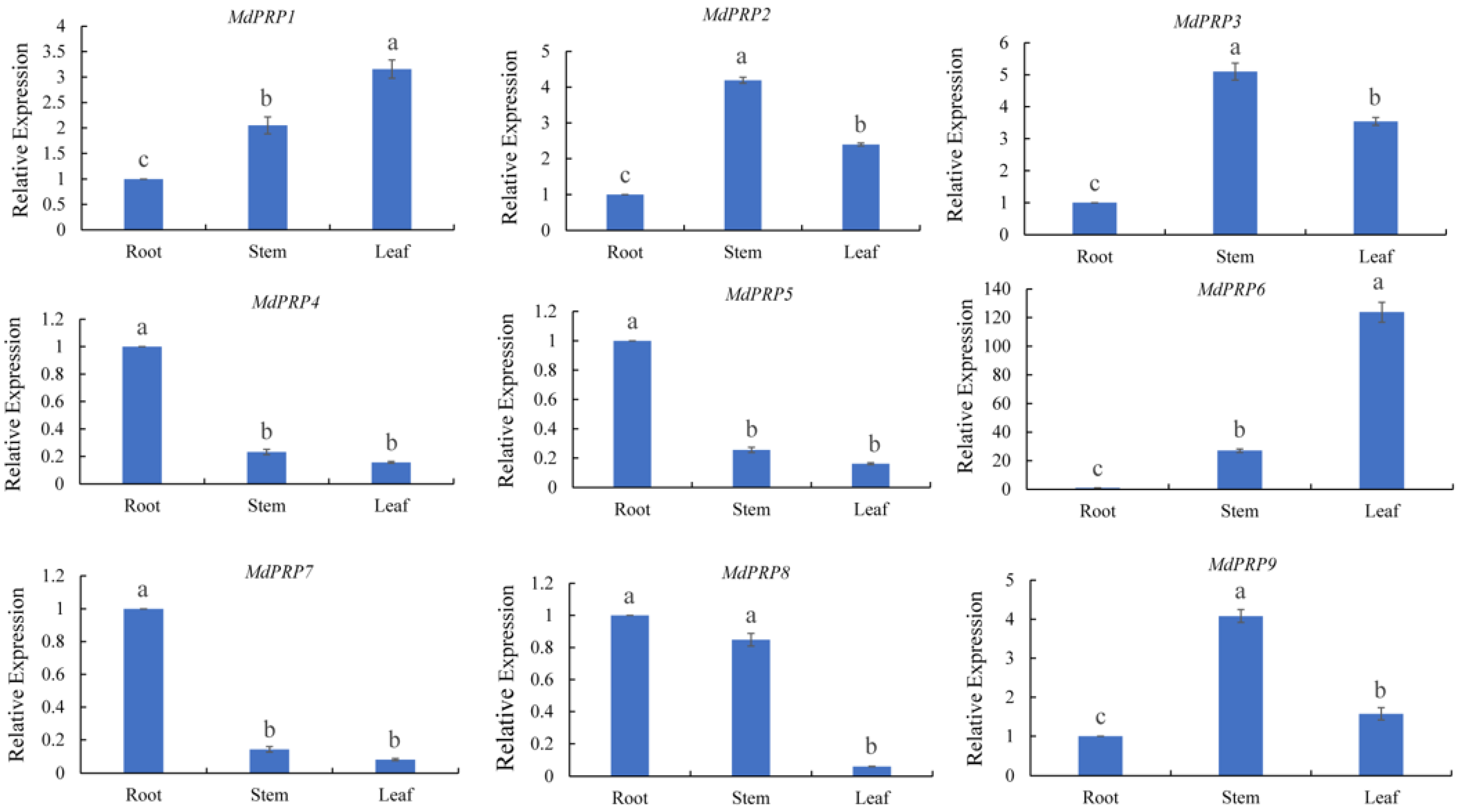 Ijms 22 05942 g004 Ijms 22 05942 g004