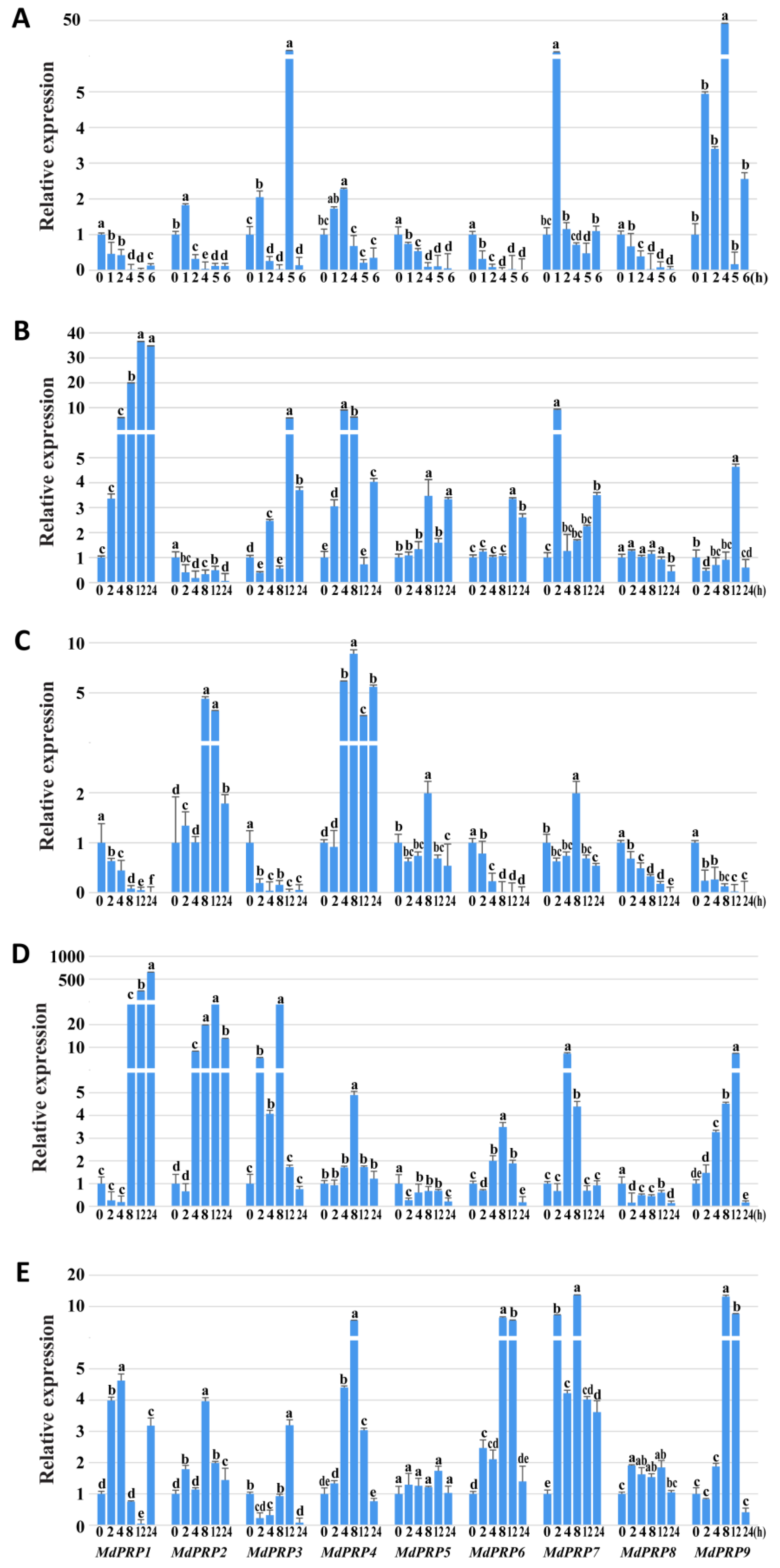 Ijms 22 05942 g005 Ijms 22 05942 g005