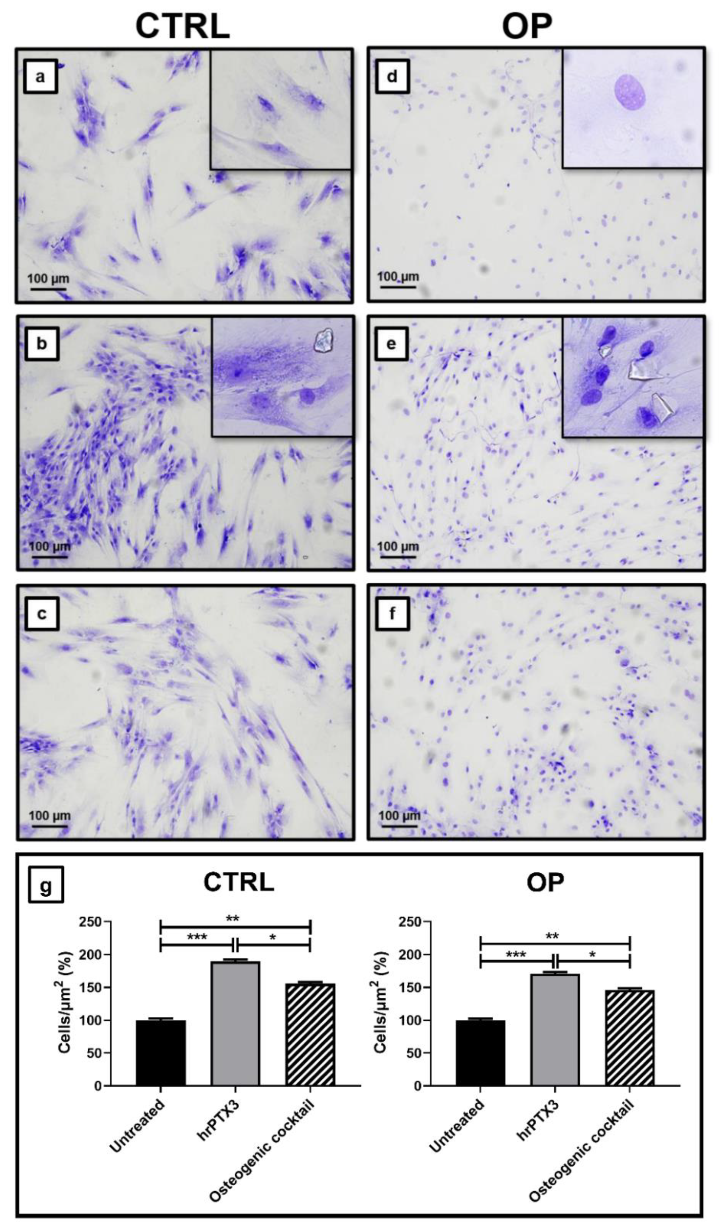 Ijms 22 05944 g003 Ijms 22 05944 g003