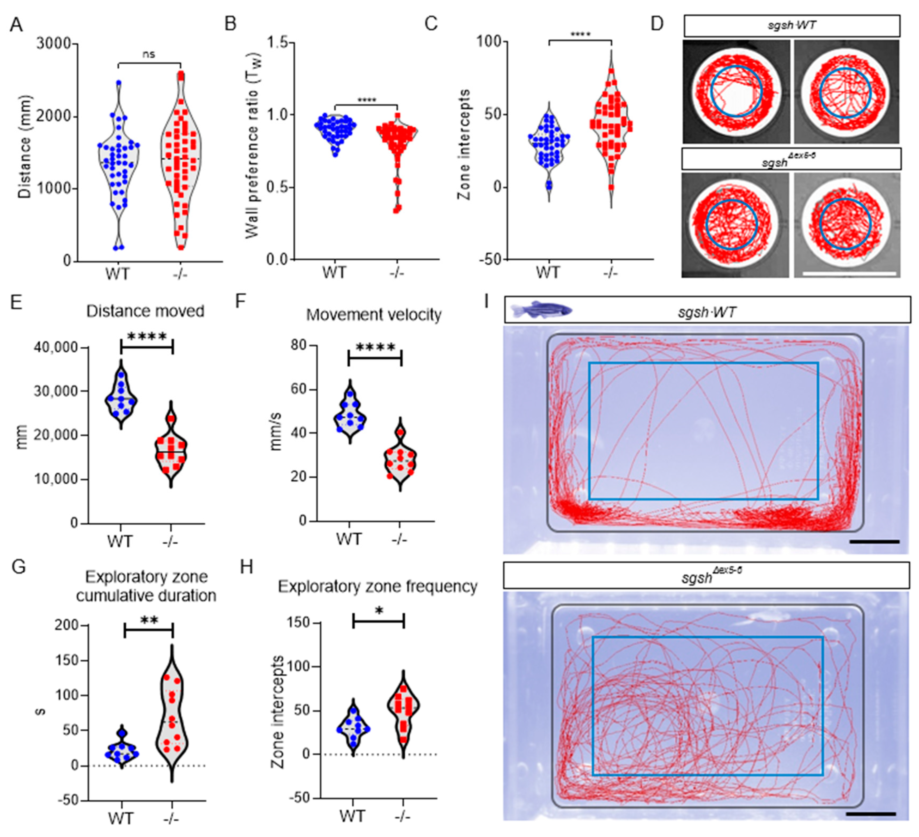 Ijms 22 05948 g002 Ijms 22 05948 g002