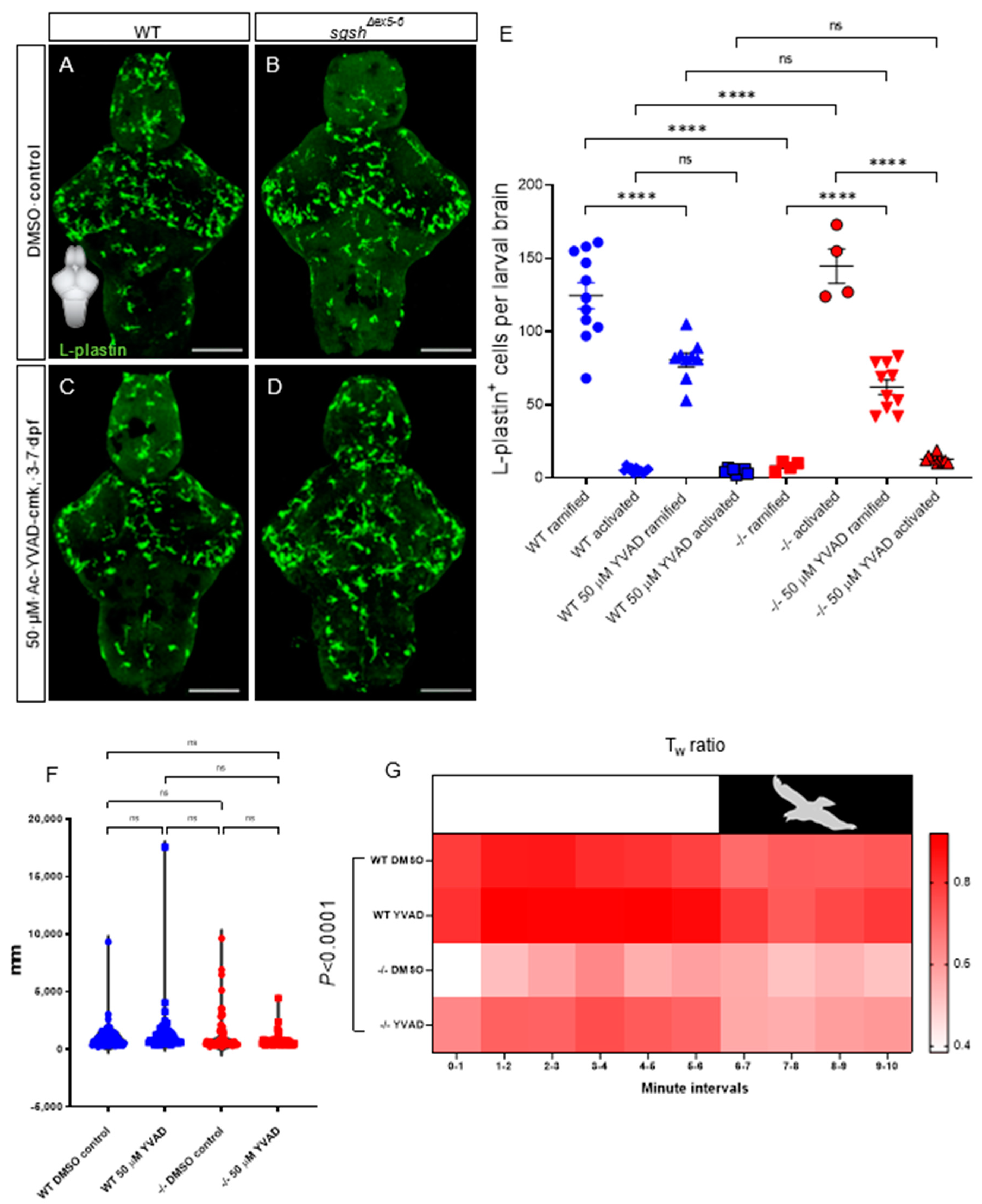 Ijms 22 05948 g005 Ijms 22 05948 g005