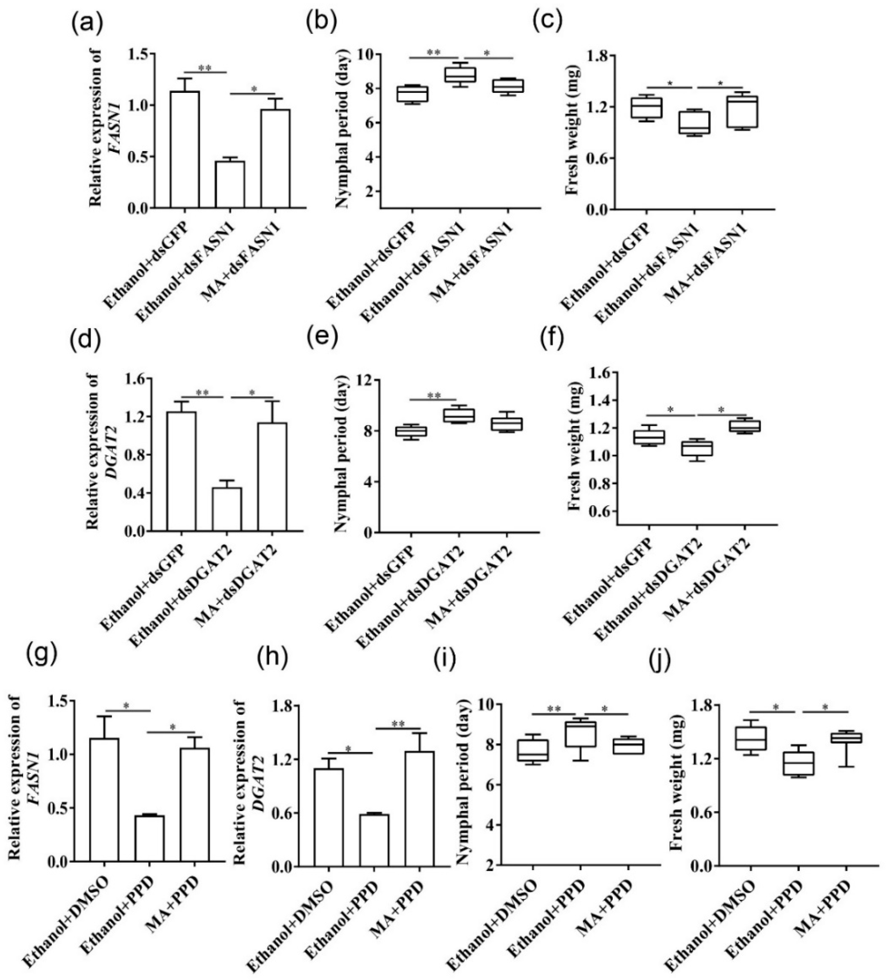 Ijms 22 05951 g005 Ijms 22 05951 g005