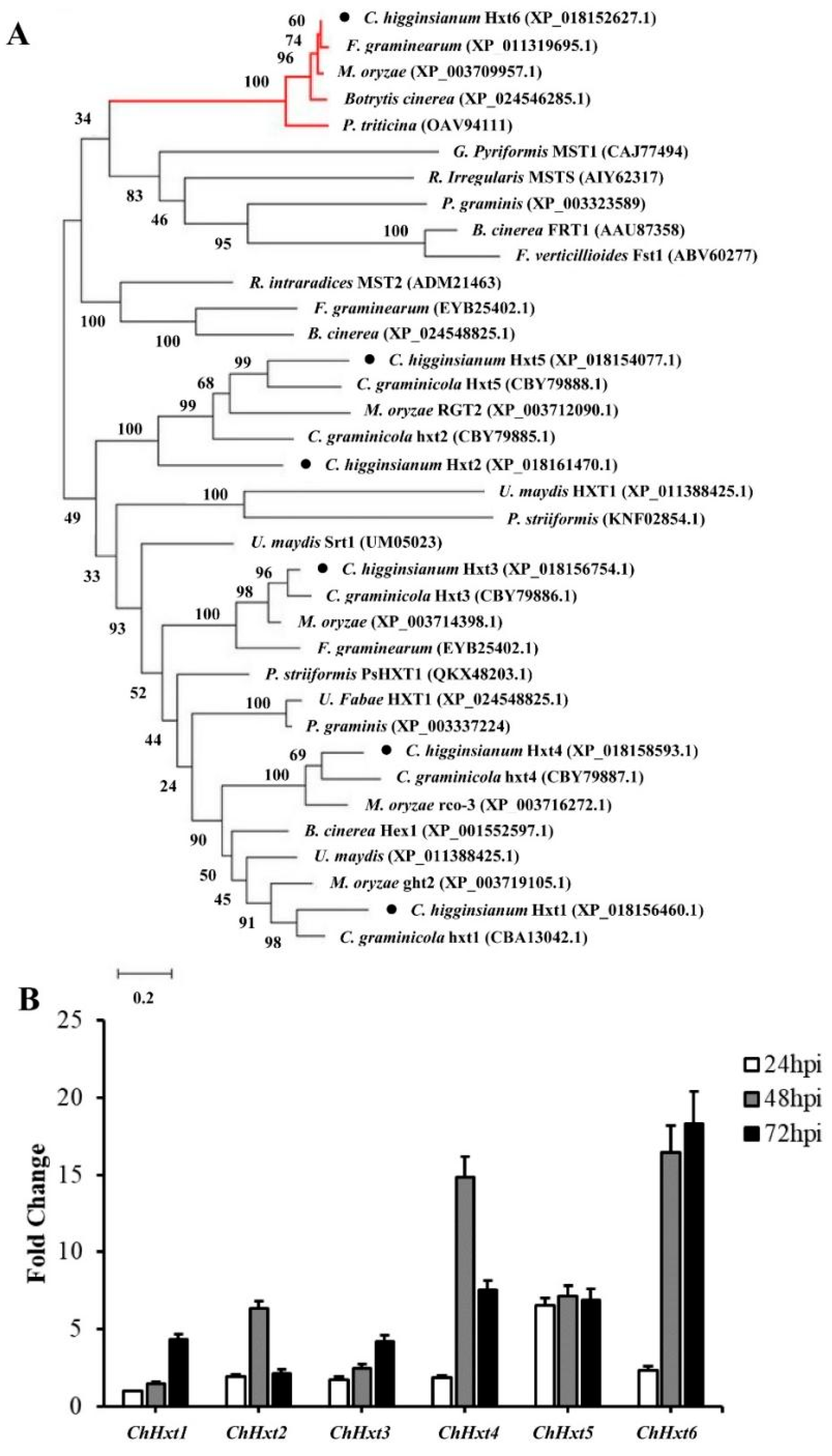 Ijms 22 05963 g002 Ijms 22 05963 g002