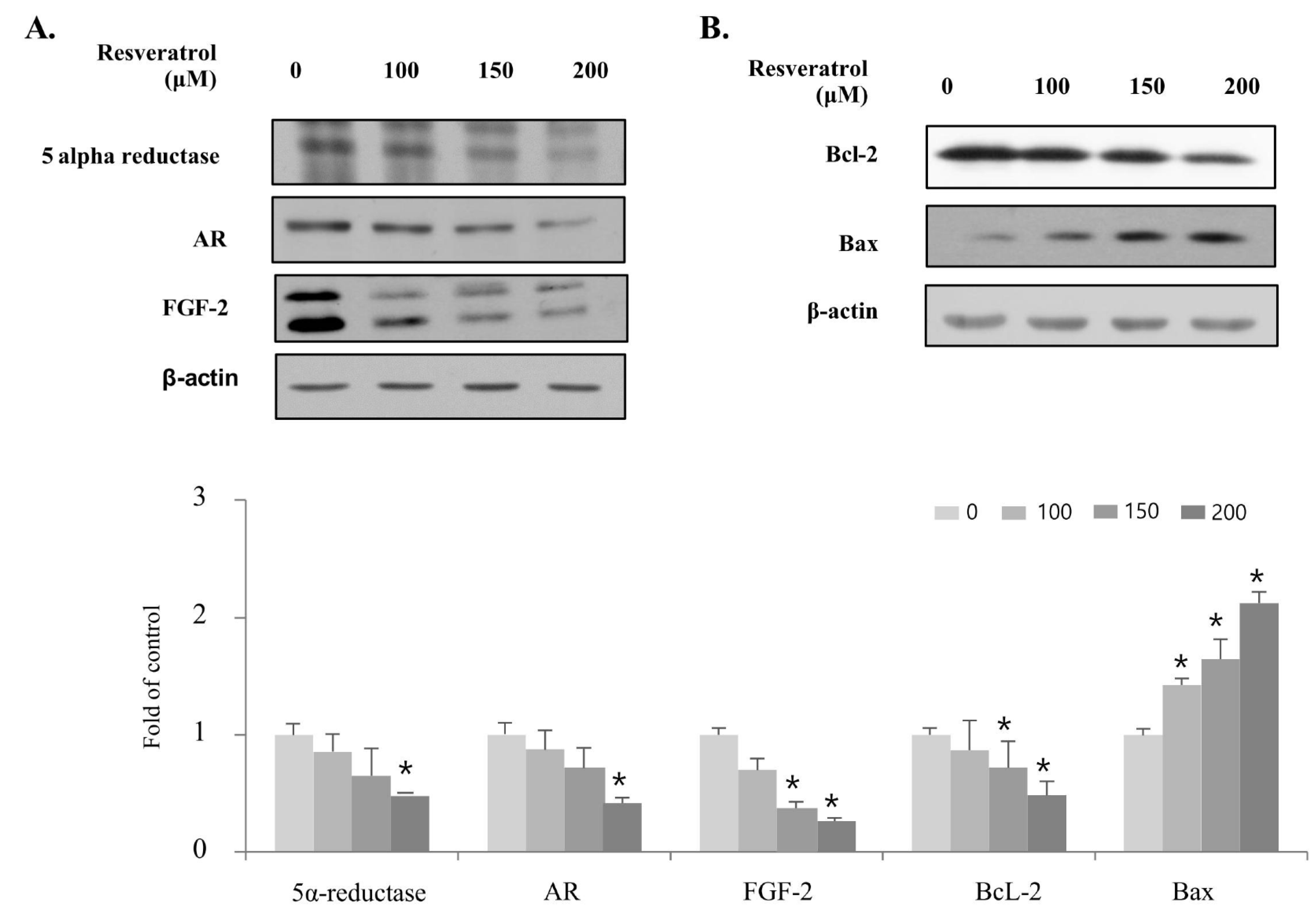 Ijms 22 05969 g005 Ijms 22 05969 g005