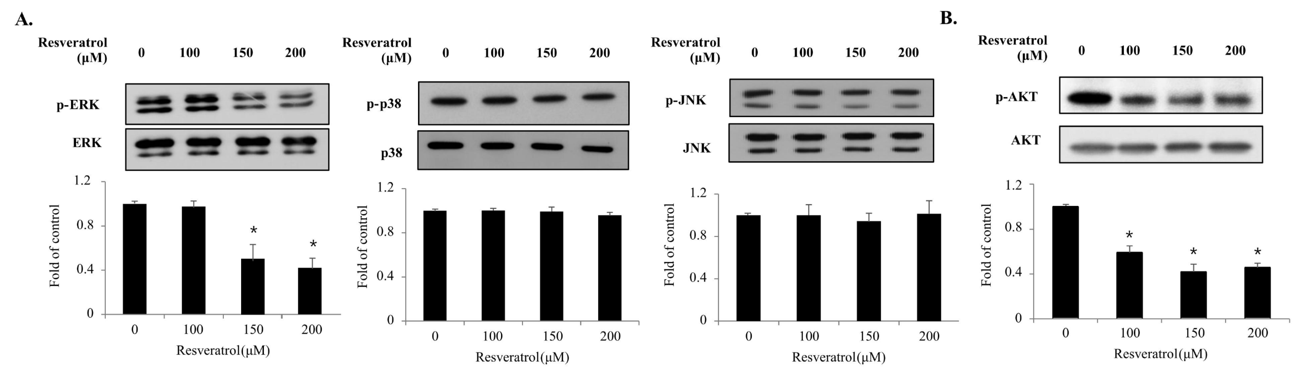 Ijms 22 05969 g006 Ijms 22 05969 g006