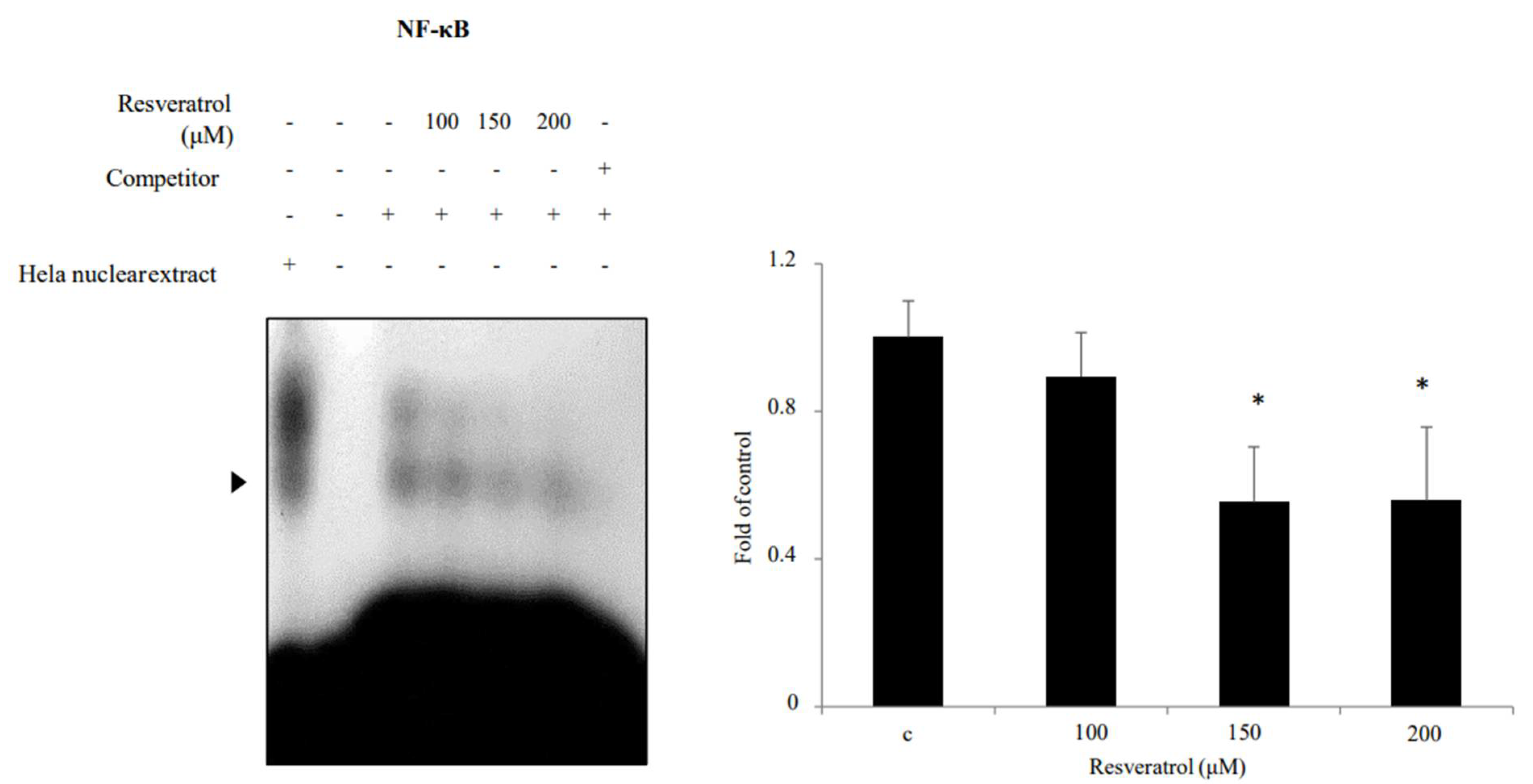 Ijms 22 05969 g007 Ijms 22 05969 g007