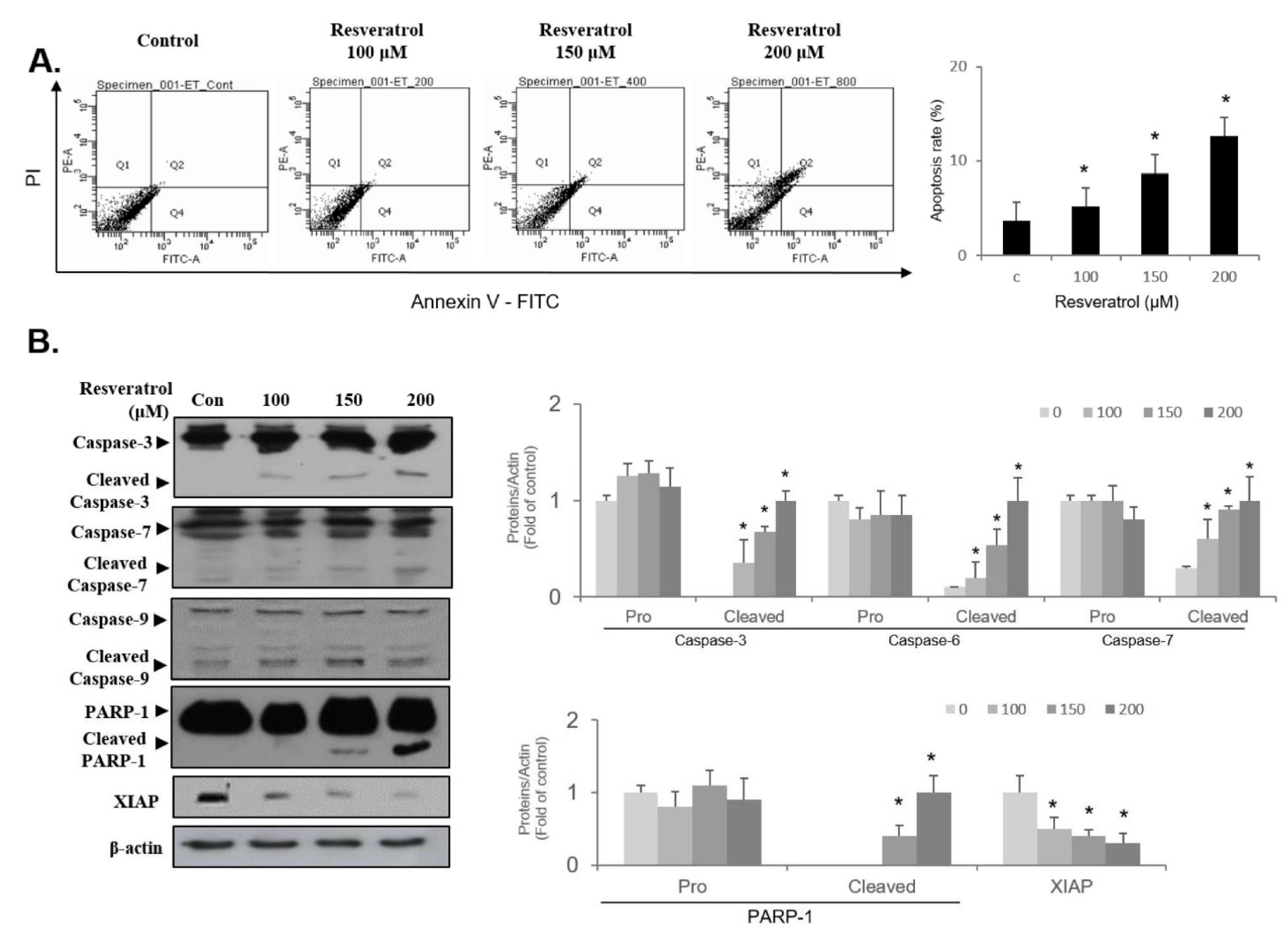 Ijms 22 05969 g008 Ijms 22 05969 g008