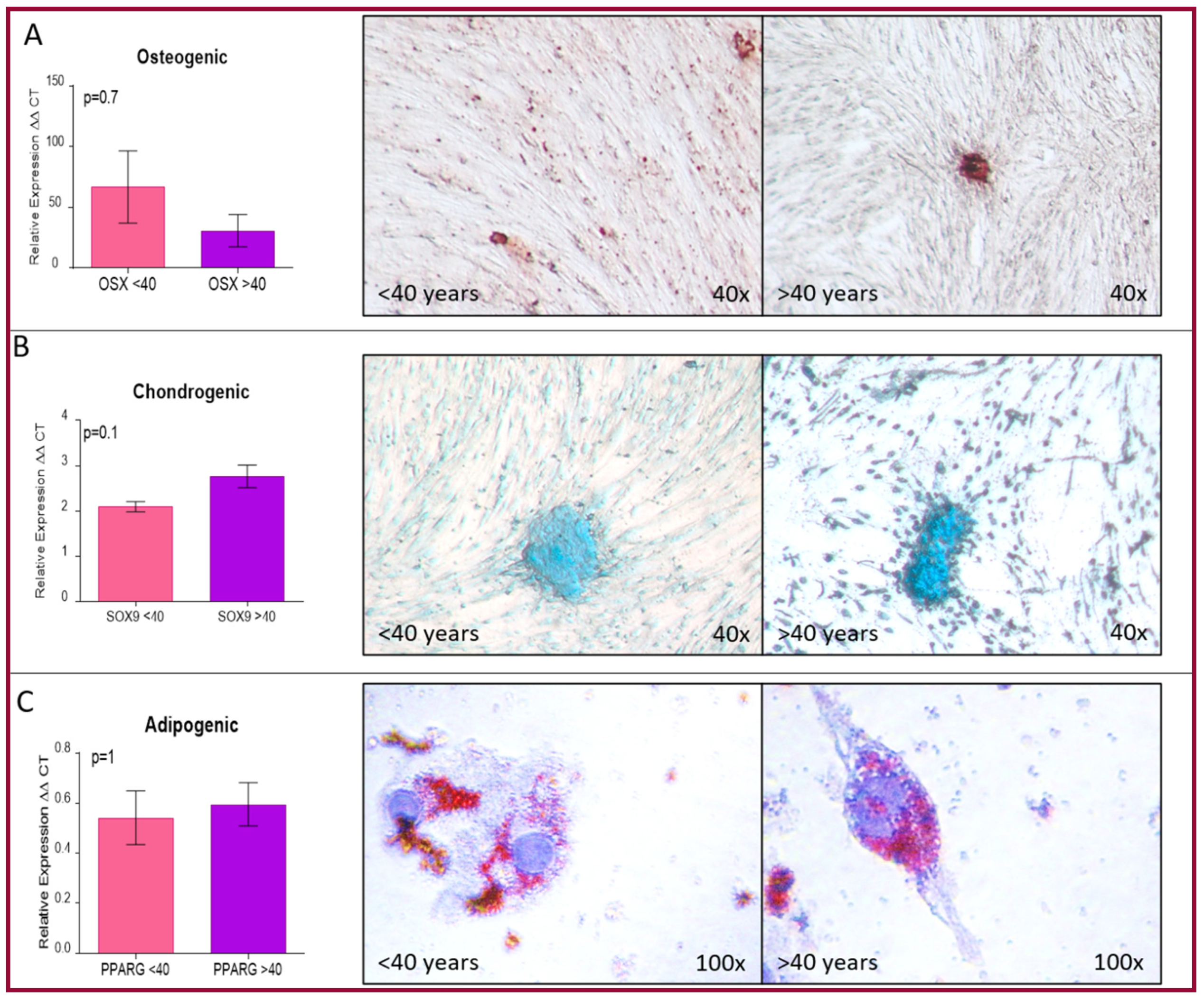 Ijms 22 05976 g003 Ijms 22 05976 g003
