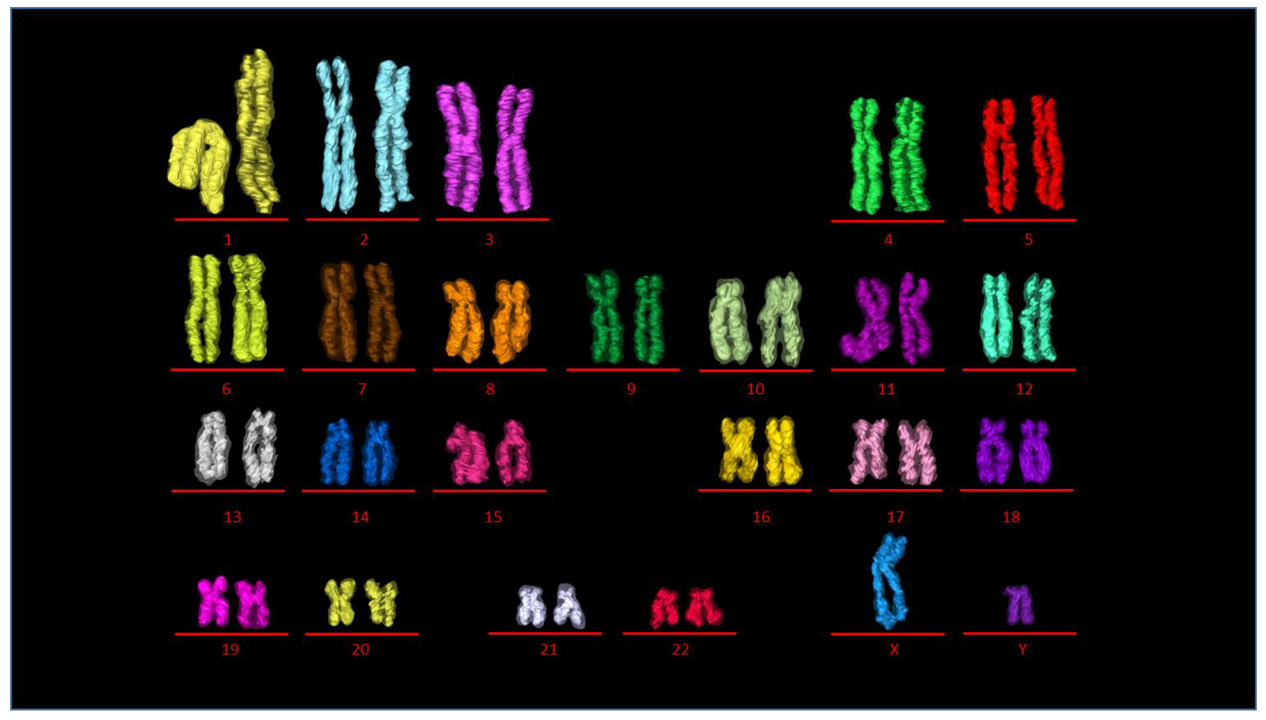 Ijms 22 05987 g005 Ijms 22 05987 g005