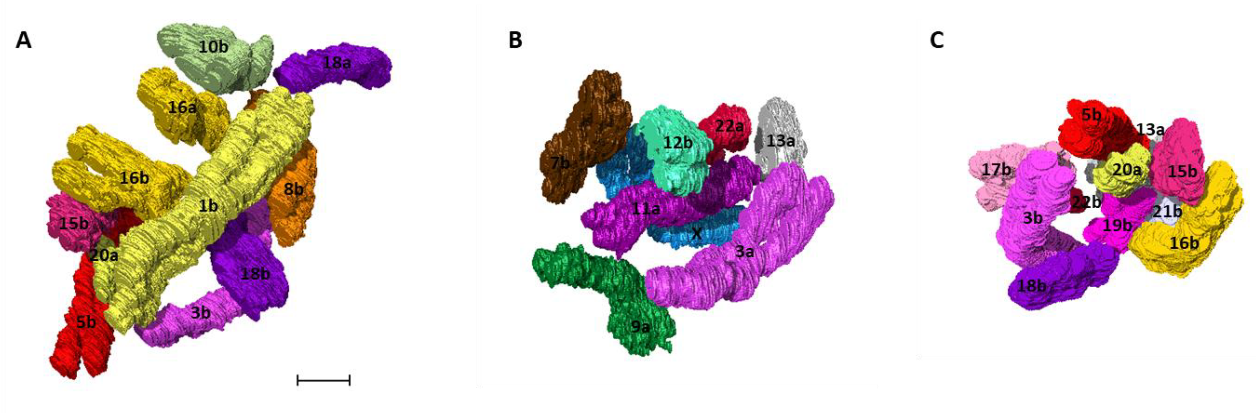 Ijms 22 05987 g008 Ijms 22 05987 g008