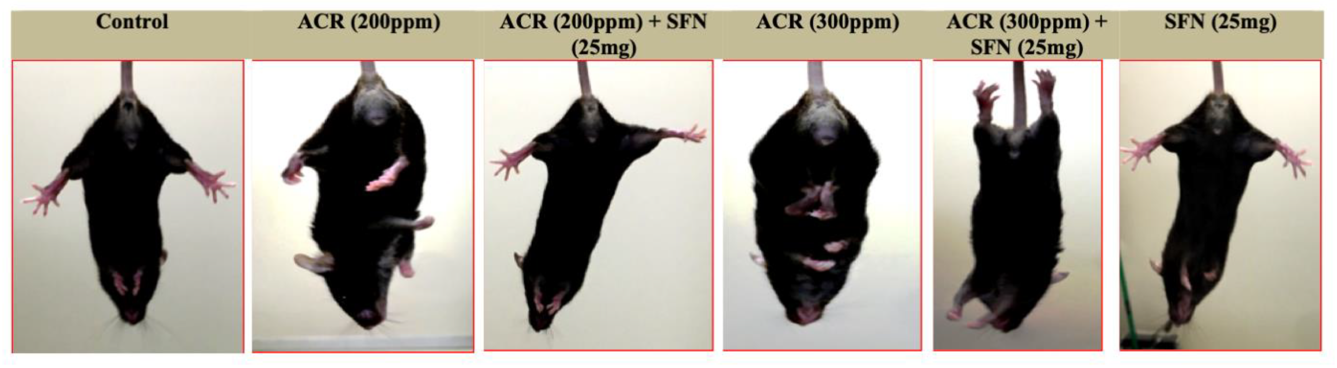 Ijms 22 05995 g001 Ijms 22 05995 g001