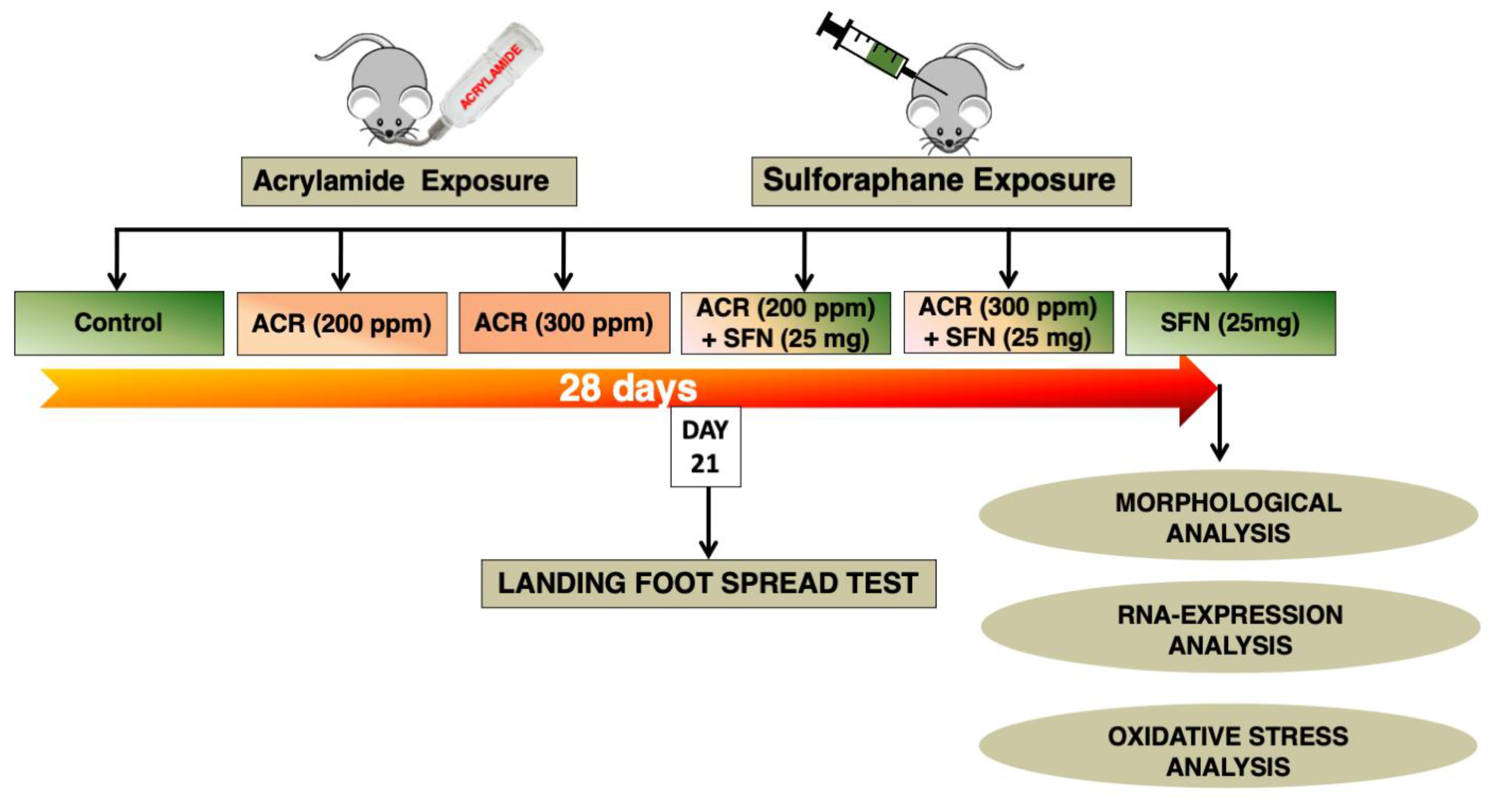 Ijms 22 05995 g008 Ijms 22 05995 g008