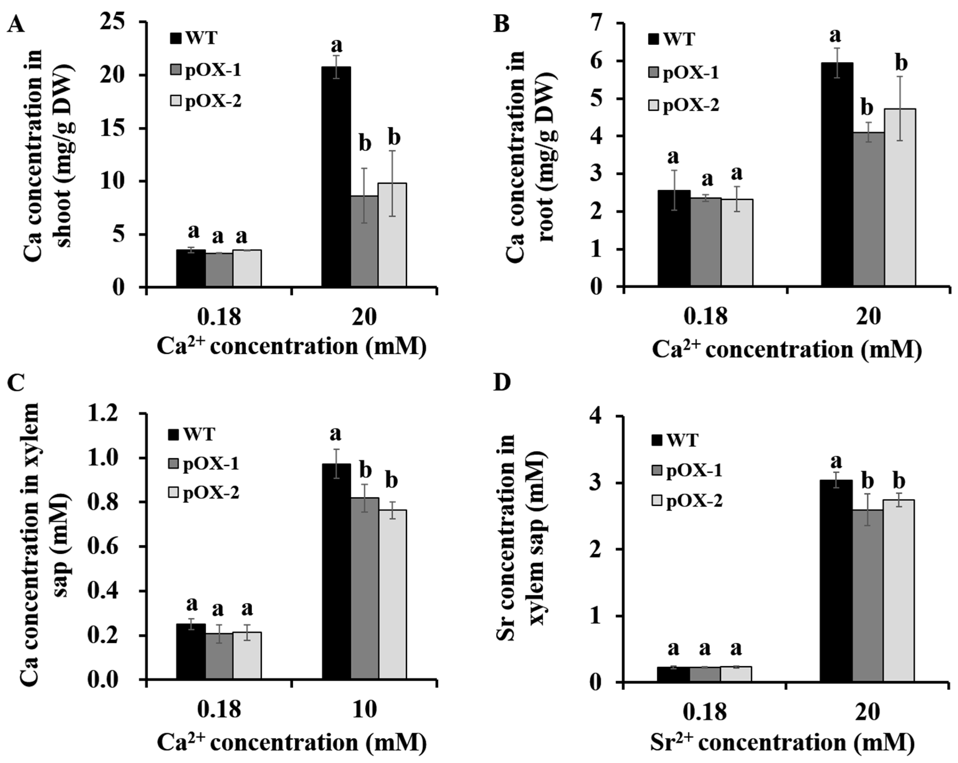 Ijms 22 06002 g003 Ijms 22 06002 g003