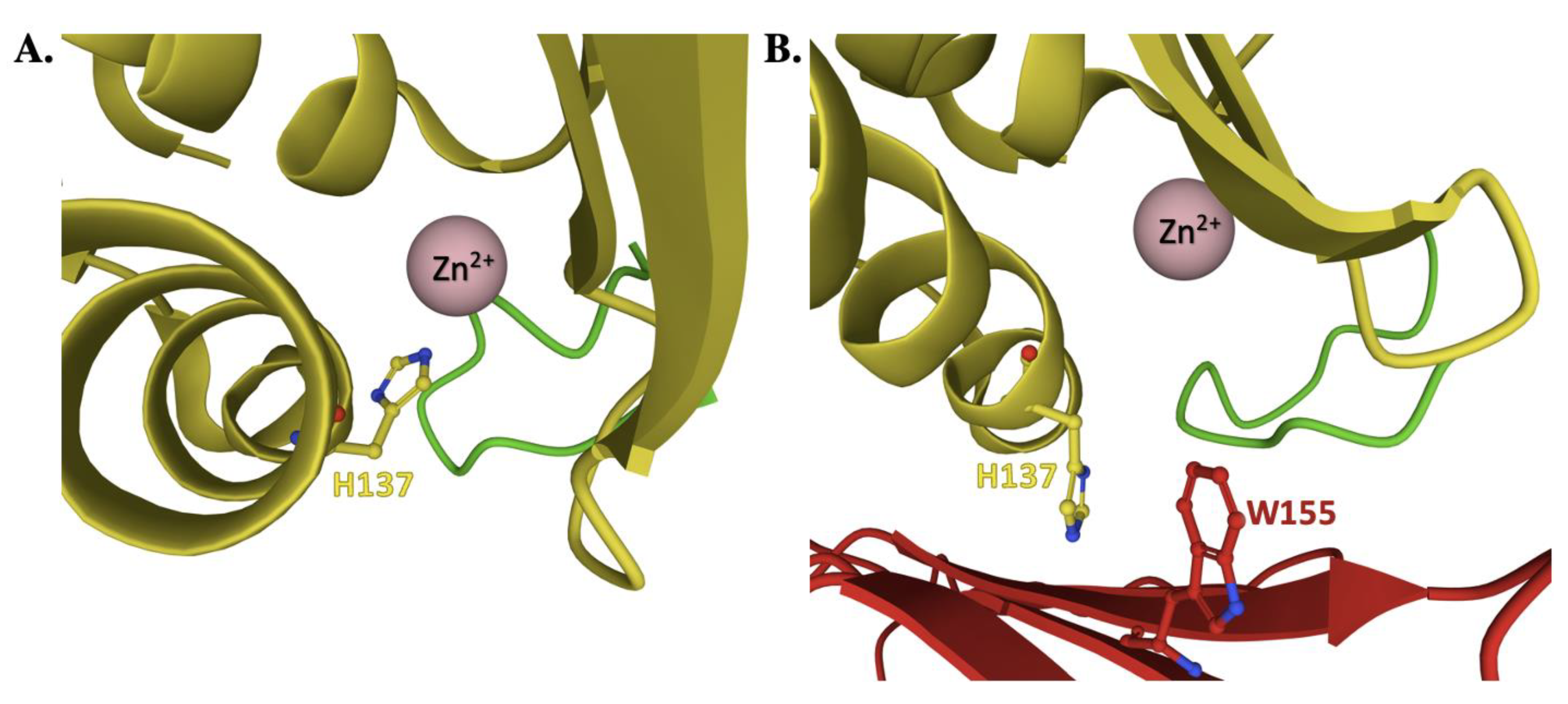 Ijms 22 06006 g008 Ijms 22 06006 g008