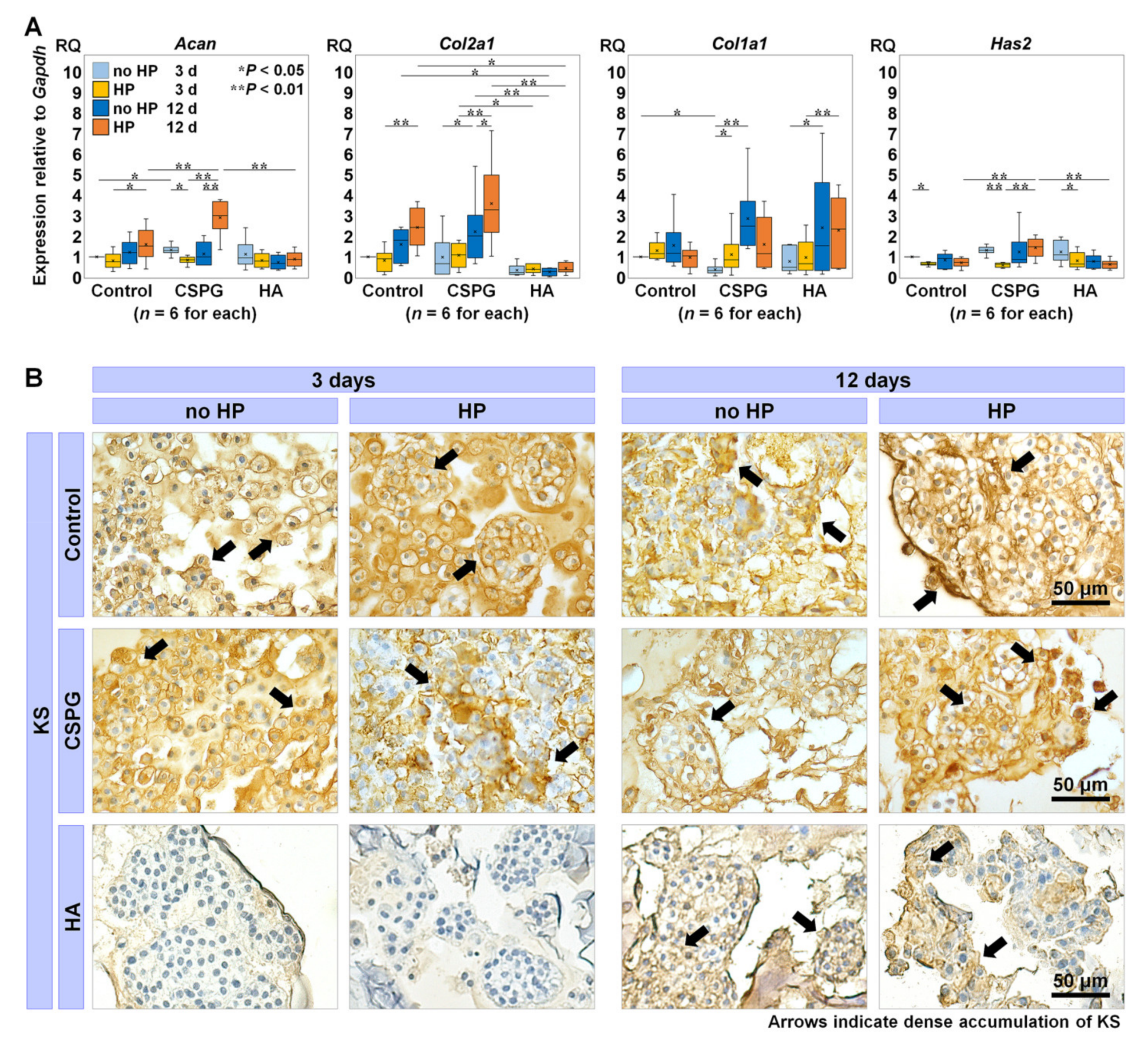 Ijms 22 06015 g001 Ijms 22 06015 g001