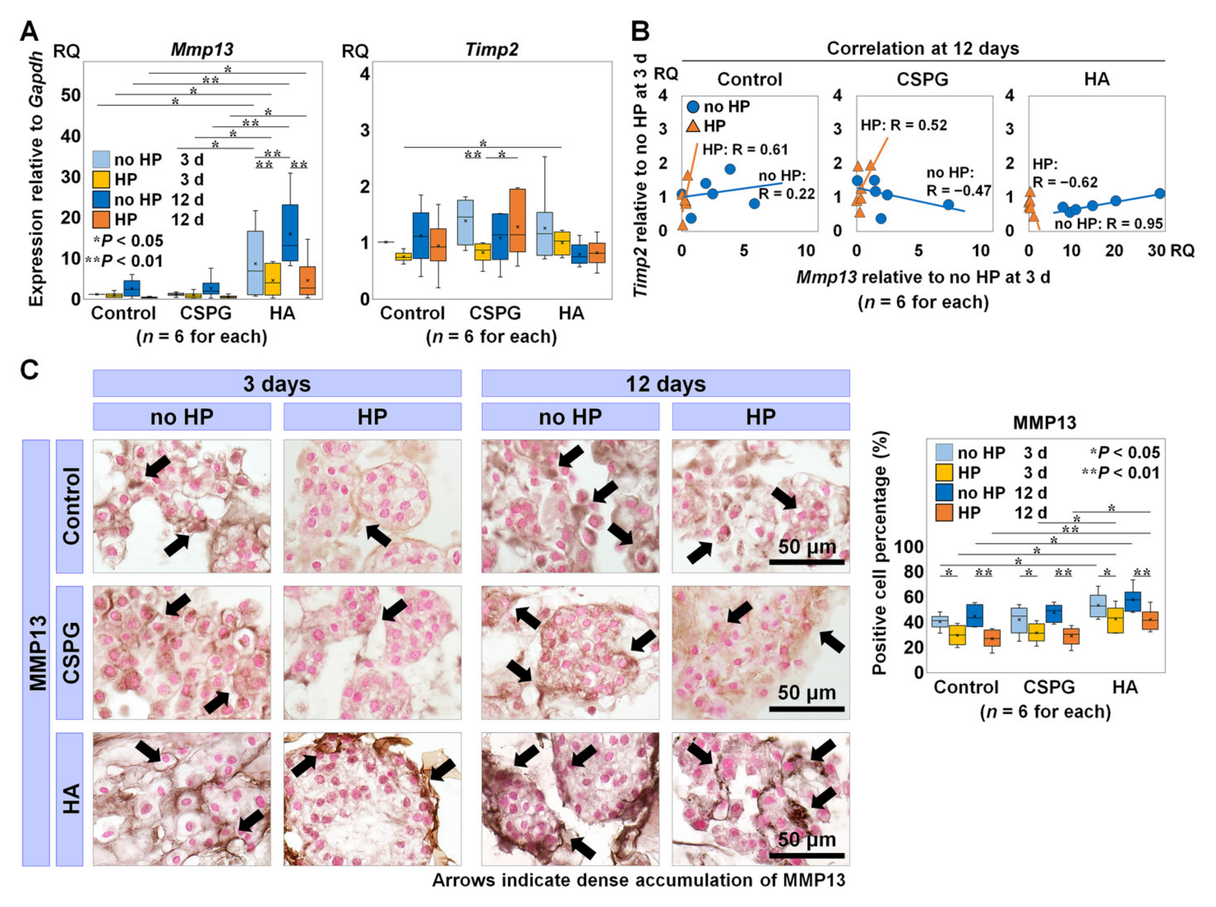 Ijms 22 06015 g002 Ijms 22 06015 g002