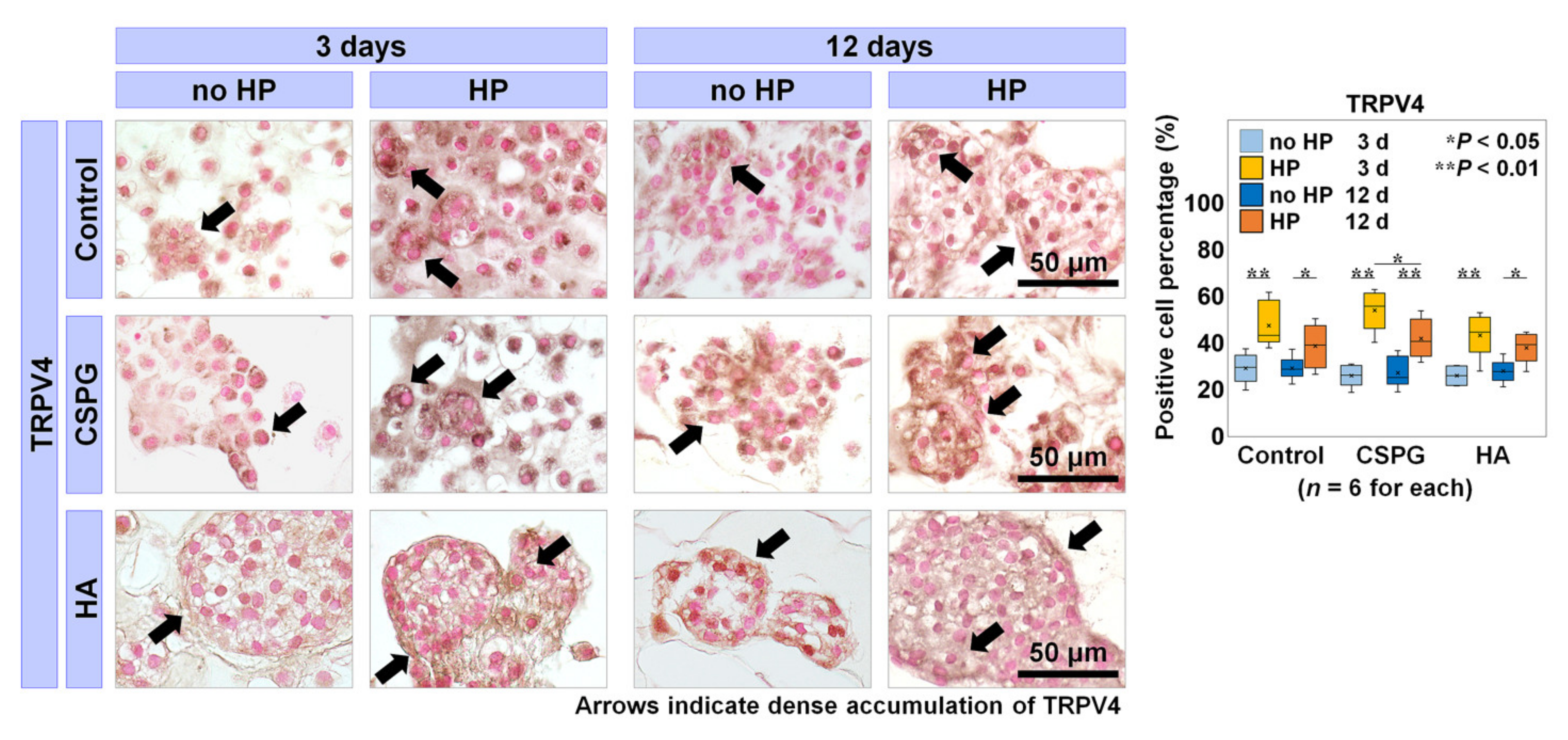 Ijms 22 06015 g003 Ijms 22 06015 g003