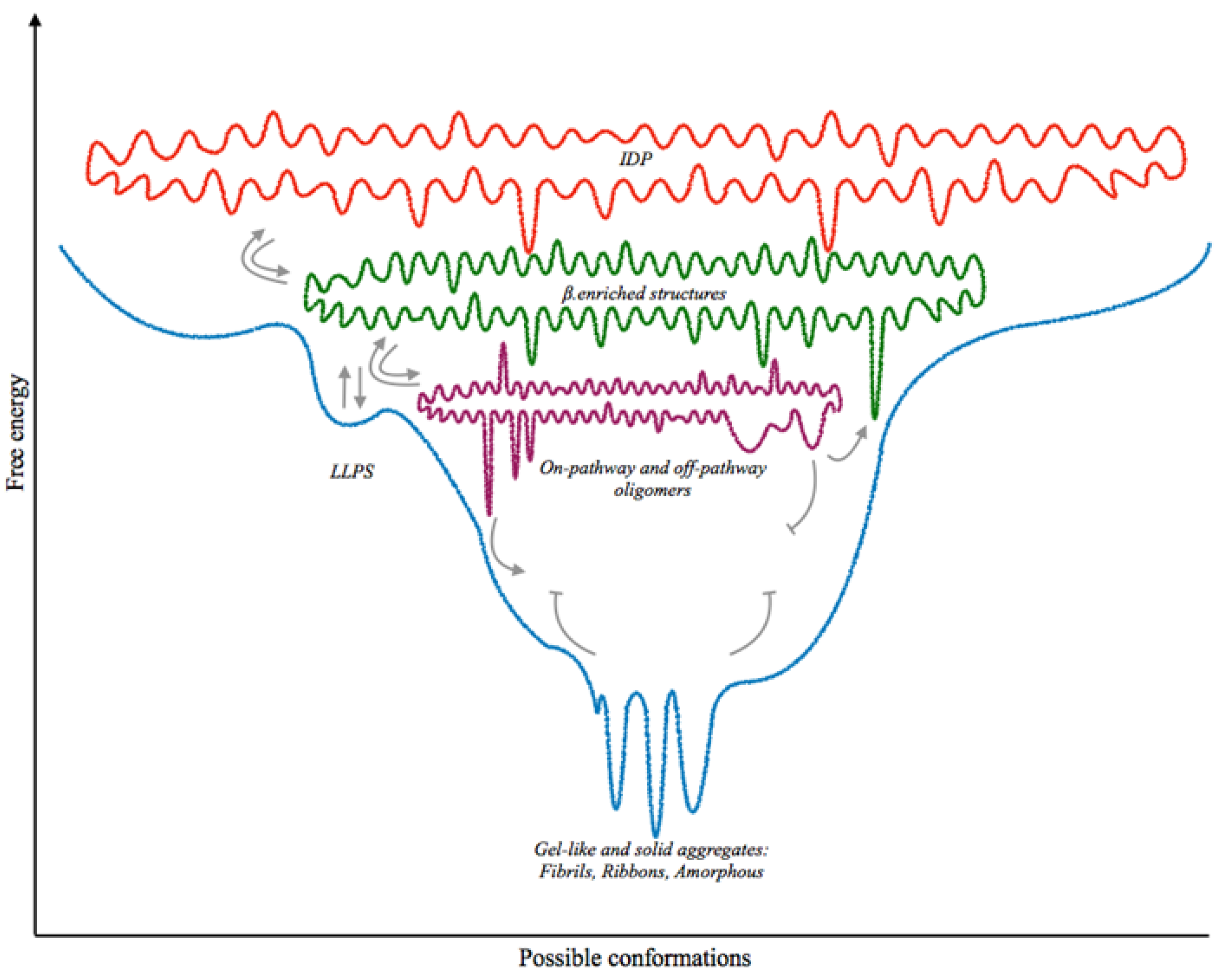 Ijms 22 06016 g001 Ijms 22 06016 g001