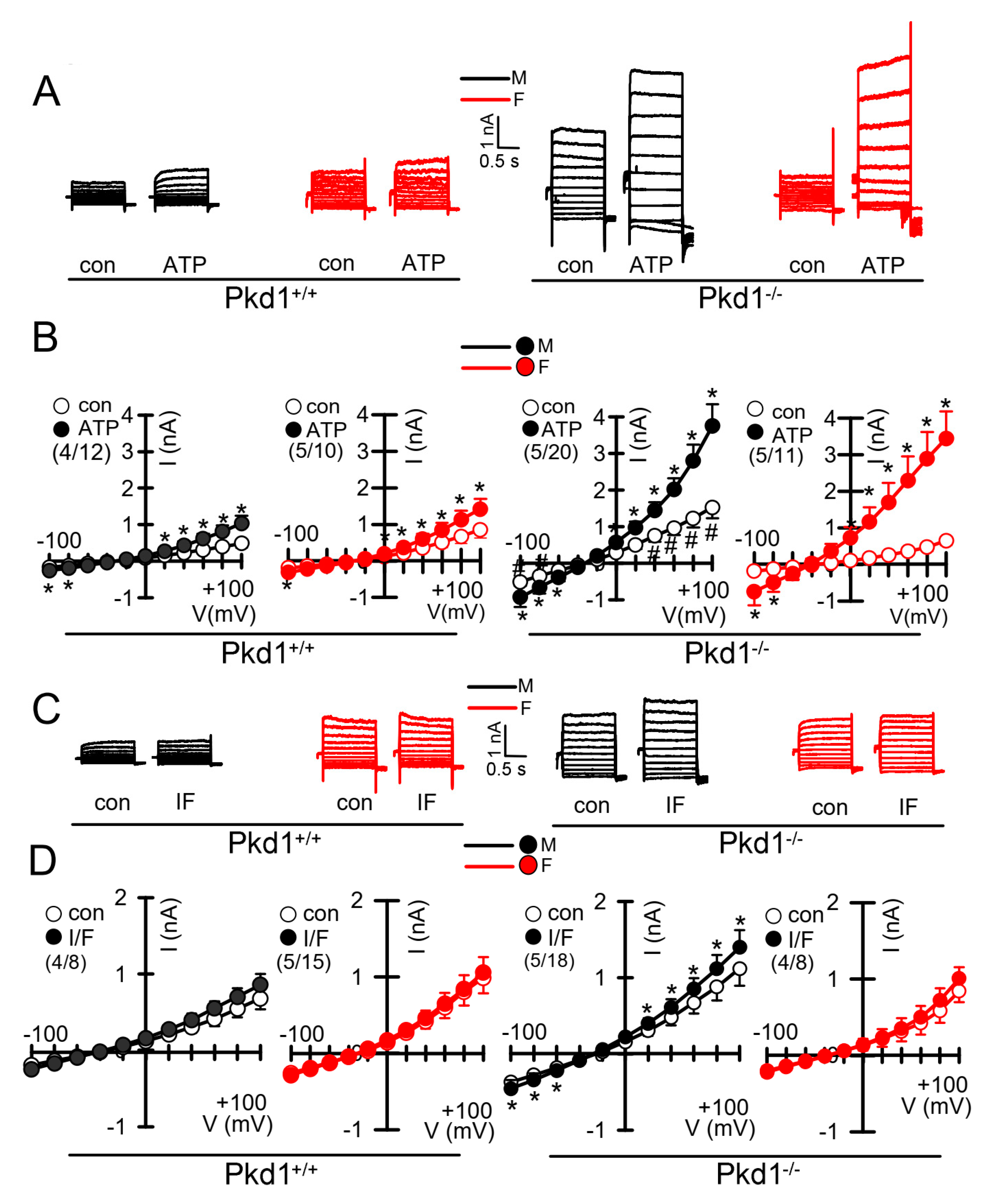 Ijms 22 06019 g004 Ijms 22 06019 g004